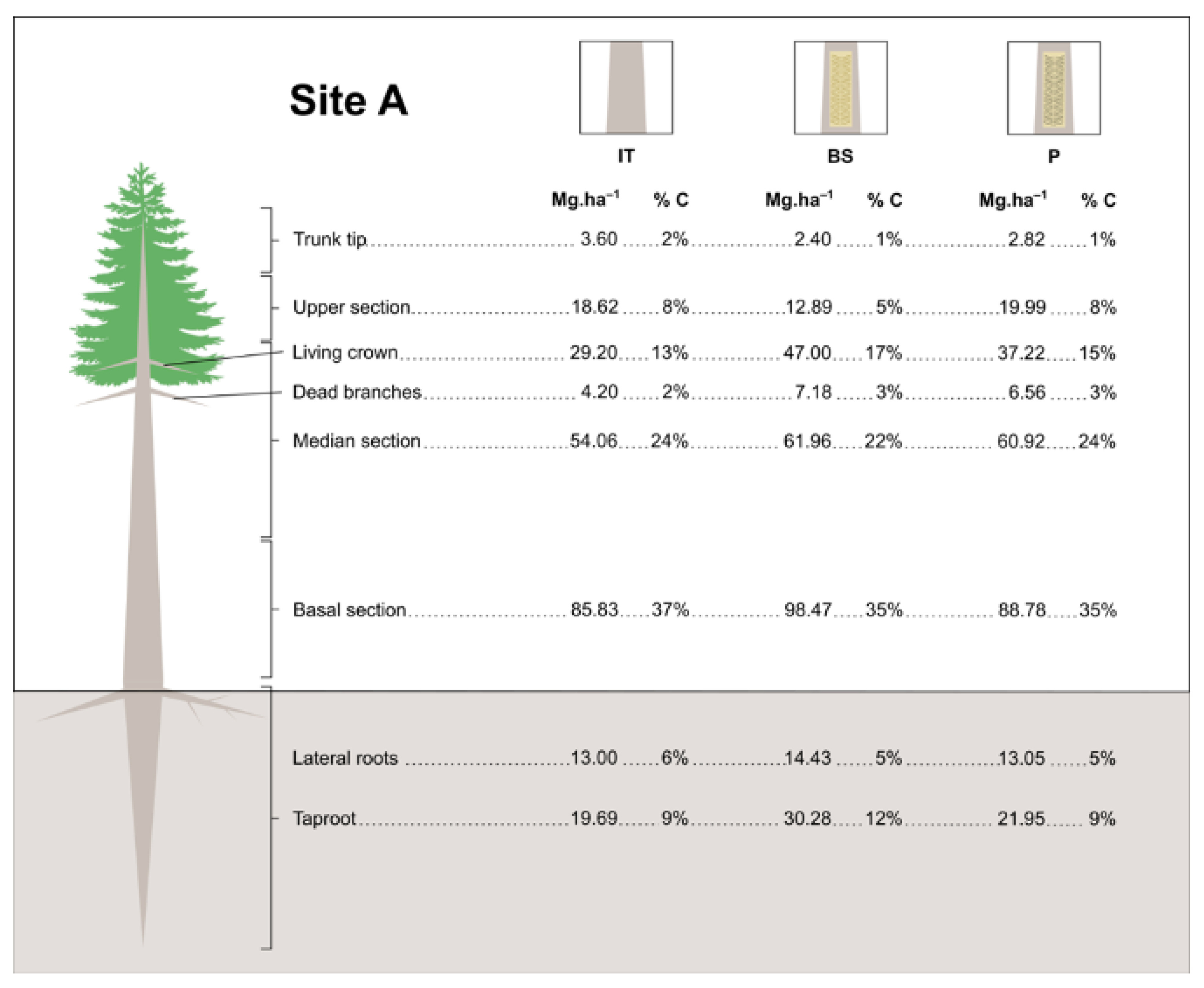 Biology 12 00324 g005a Biology 12 00324 g005a