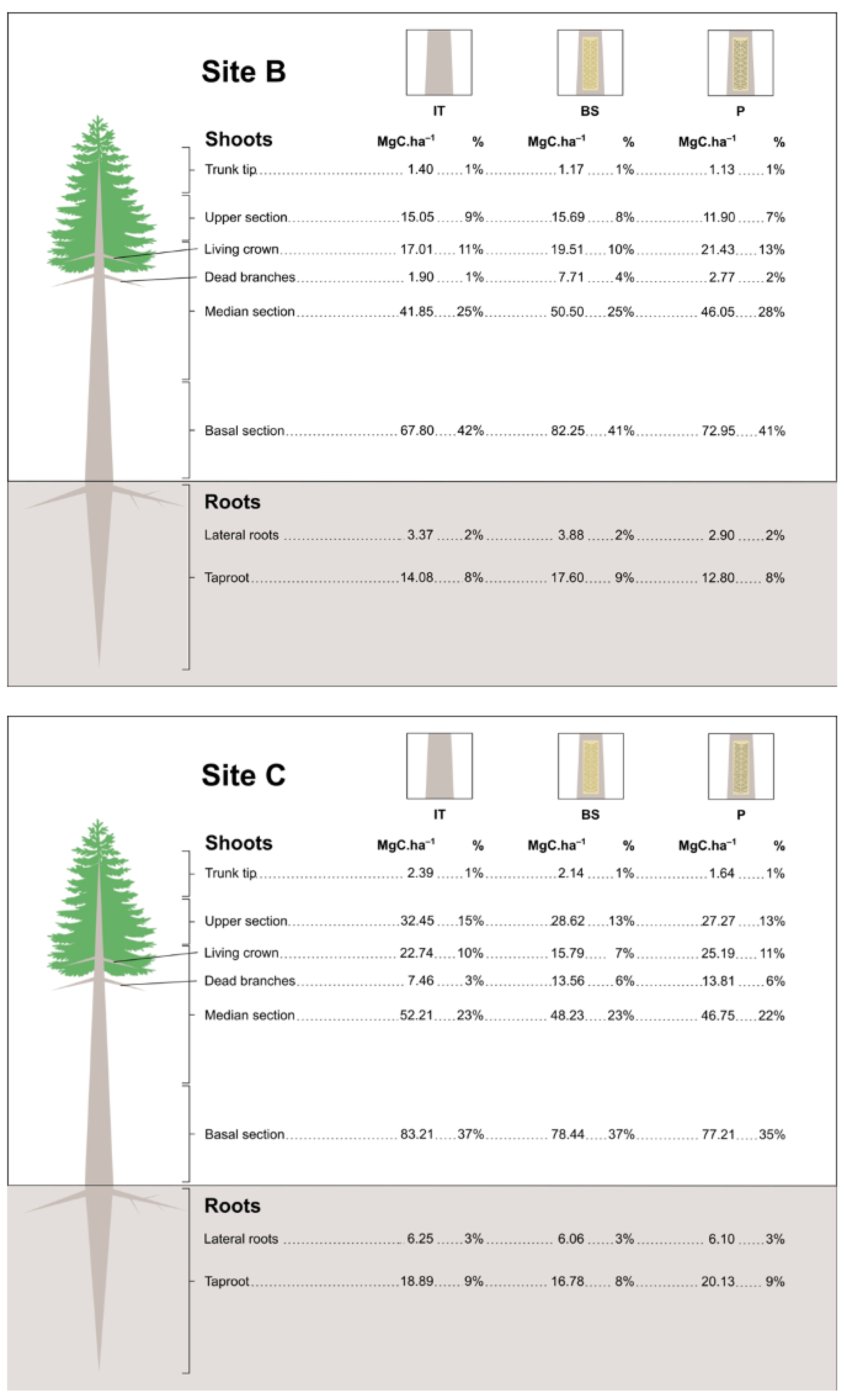 Biology 12 00324 g005b Biology 12 00324 g005b