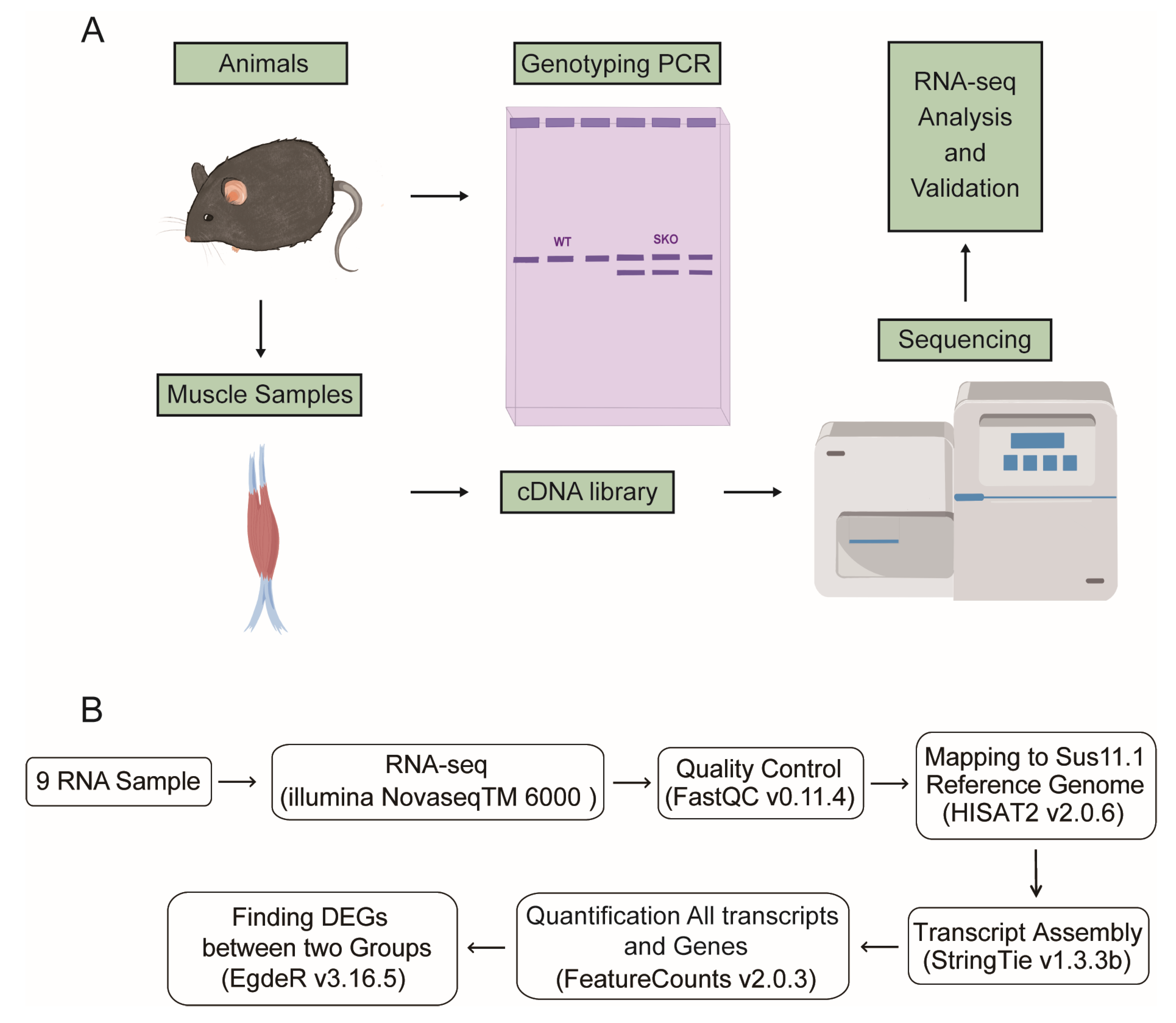Biology 12 00325 g004