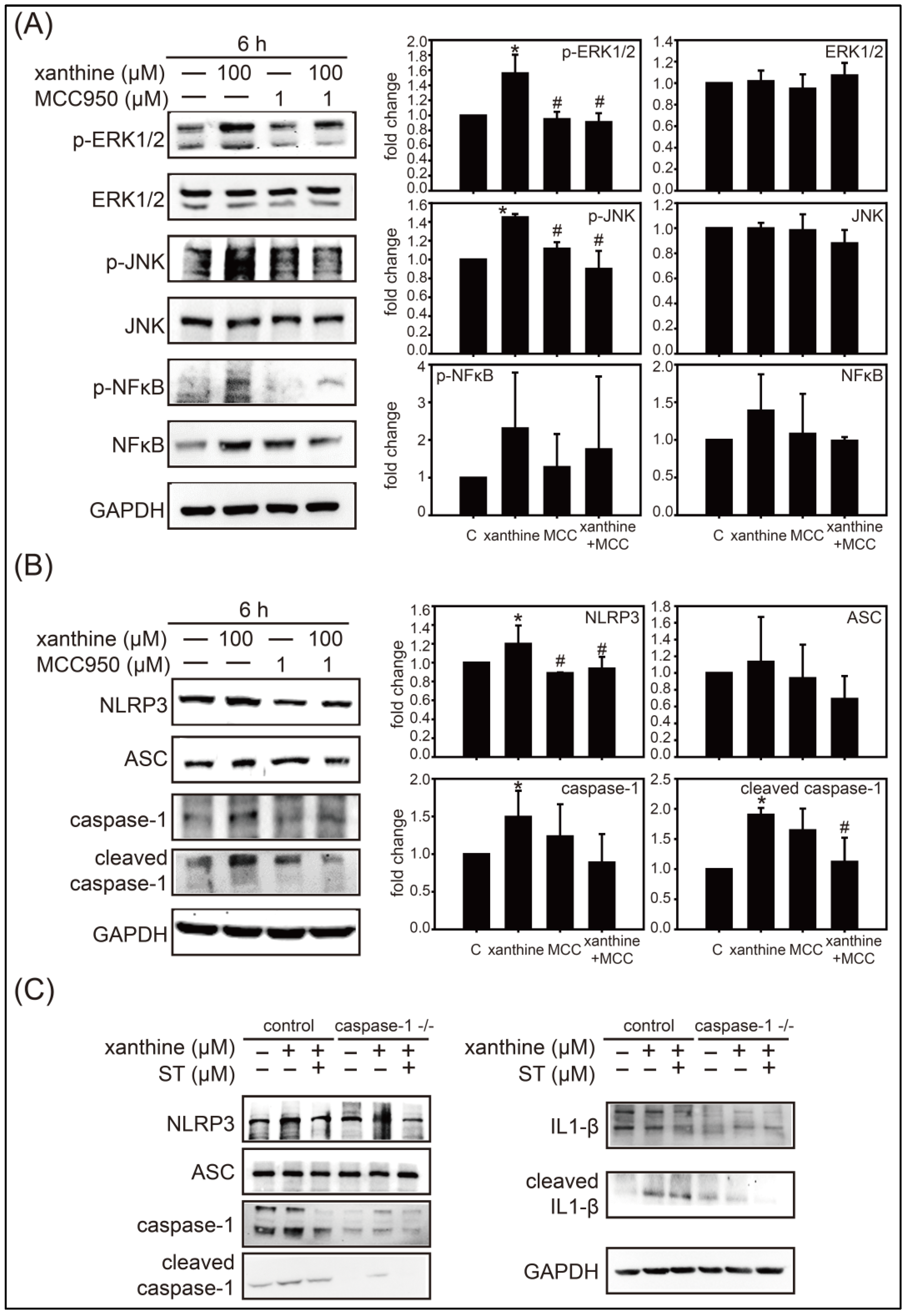 Biology 12 00329 g003