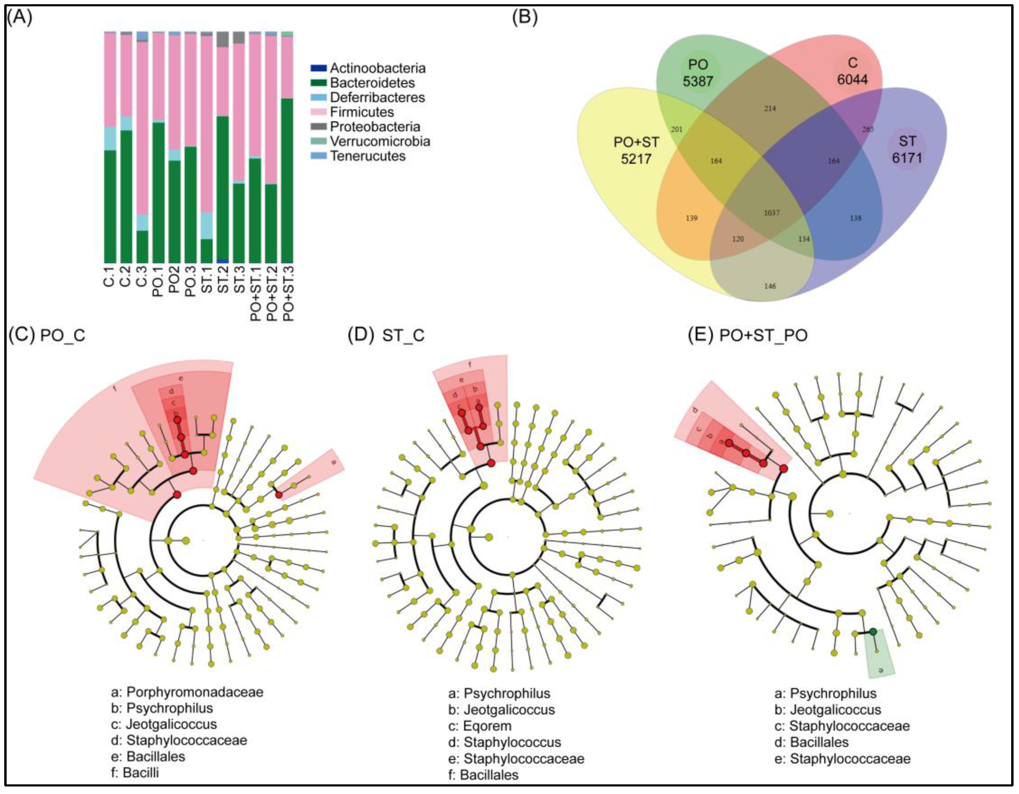 Biology 12 00329 g005