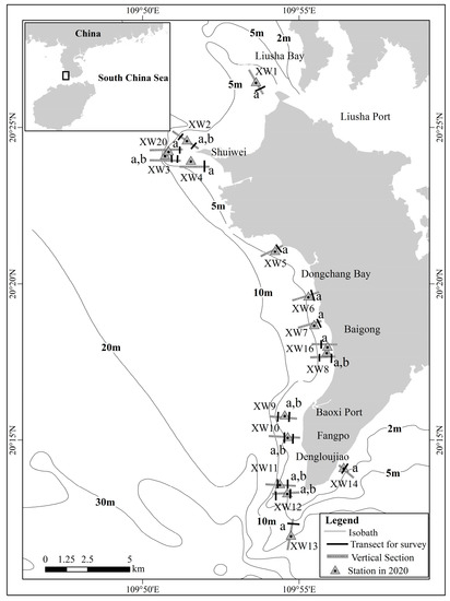 The Ecological Status and Change in High-Latitude Coral