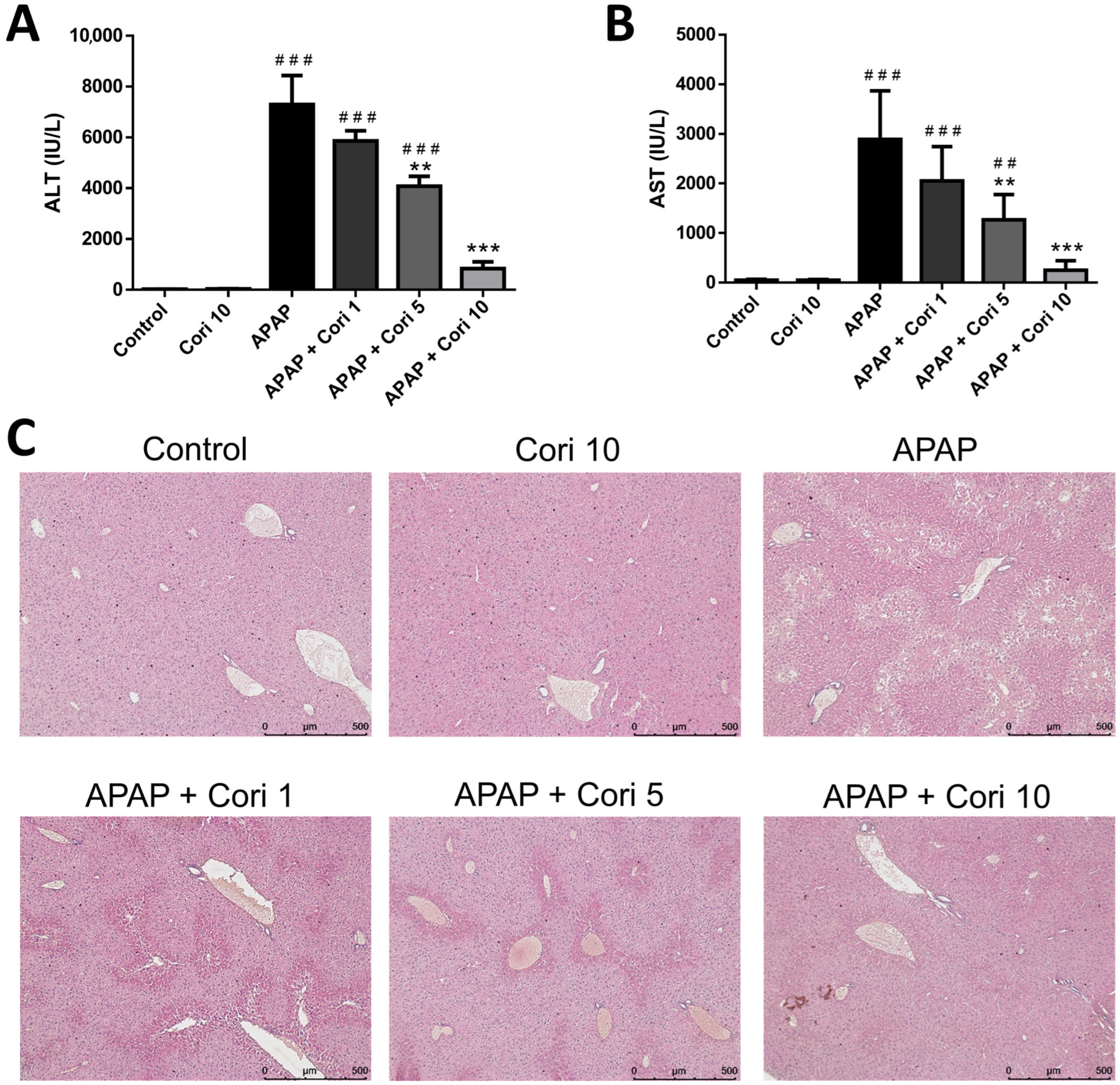 Biology | Free Full-Text | Role of NADPH Oxidase-Derived ROS 