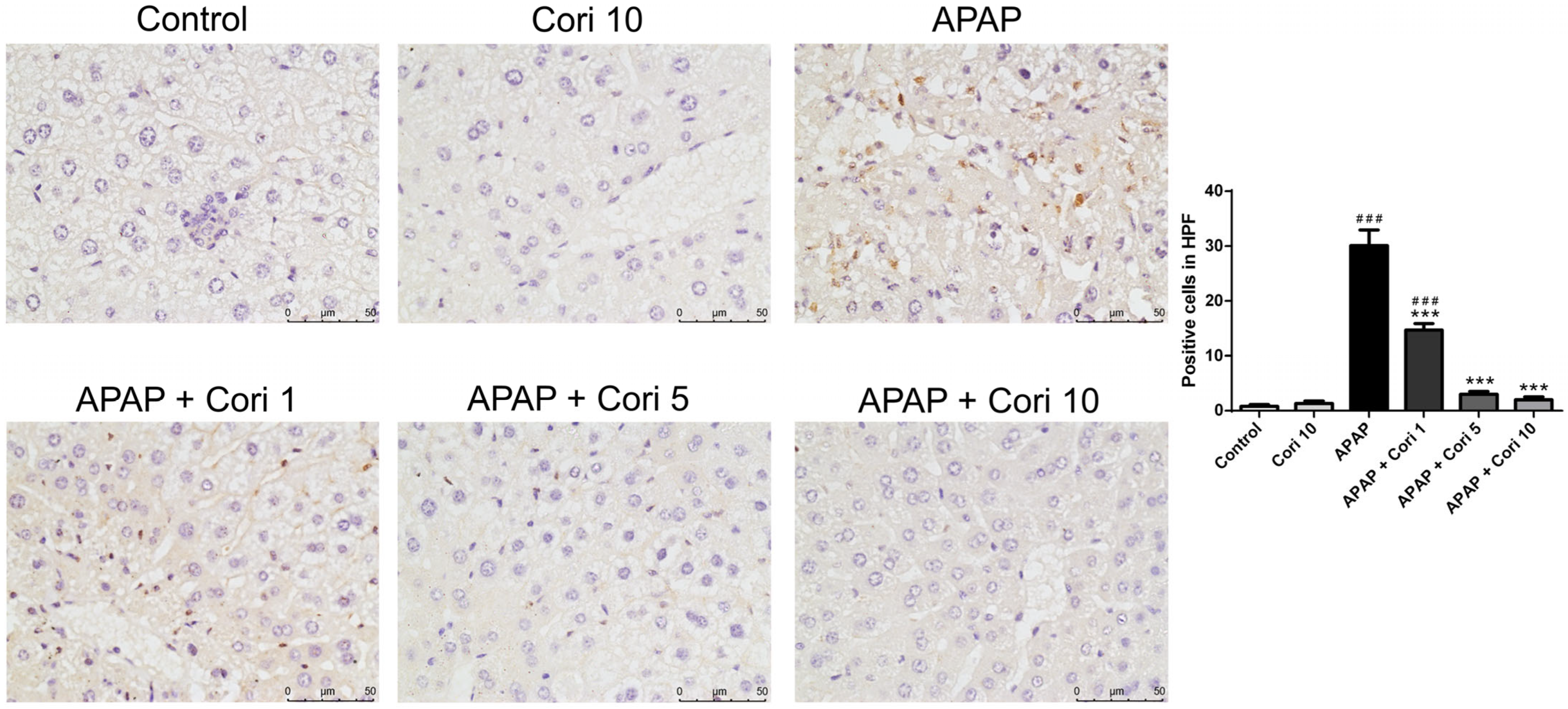 Biology 12 00334 g007