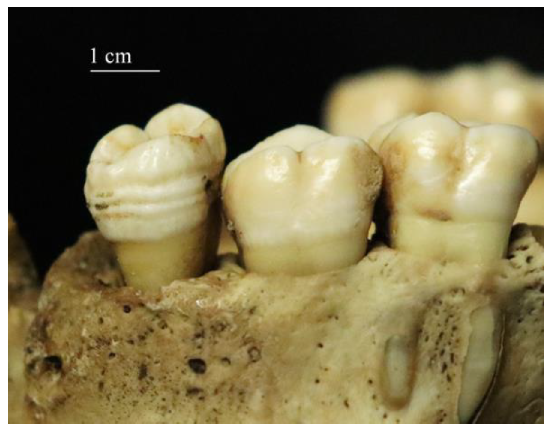 Biology 12 00335 g001 Biology 12 00335 g001