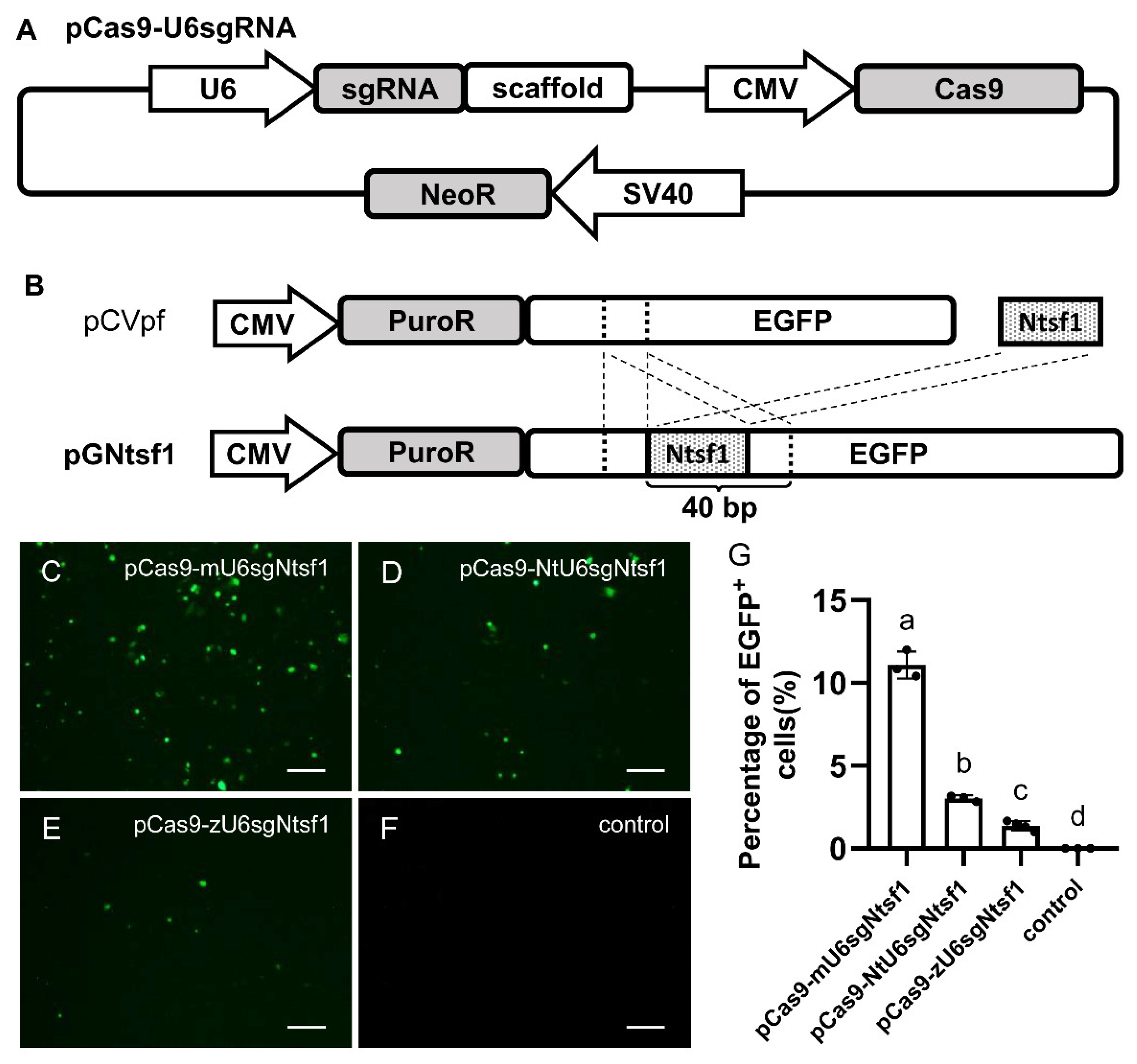 Biology 12 00336 g001 Biology 12 00336 g001