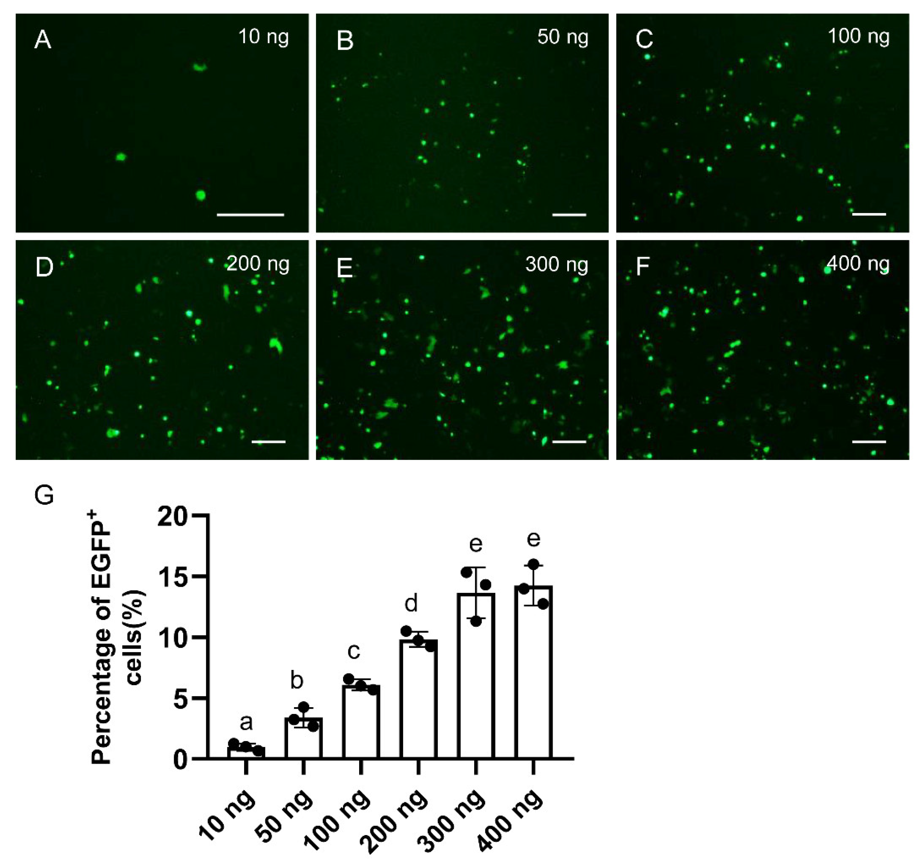 Biology 12 00336 g002 Biology 12 00336 g002
