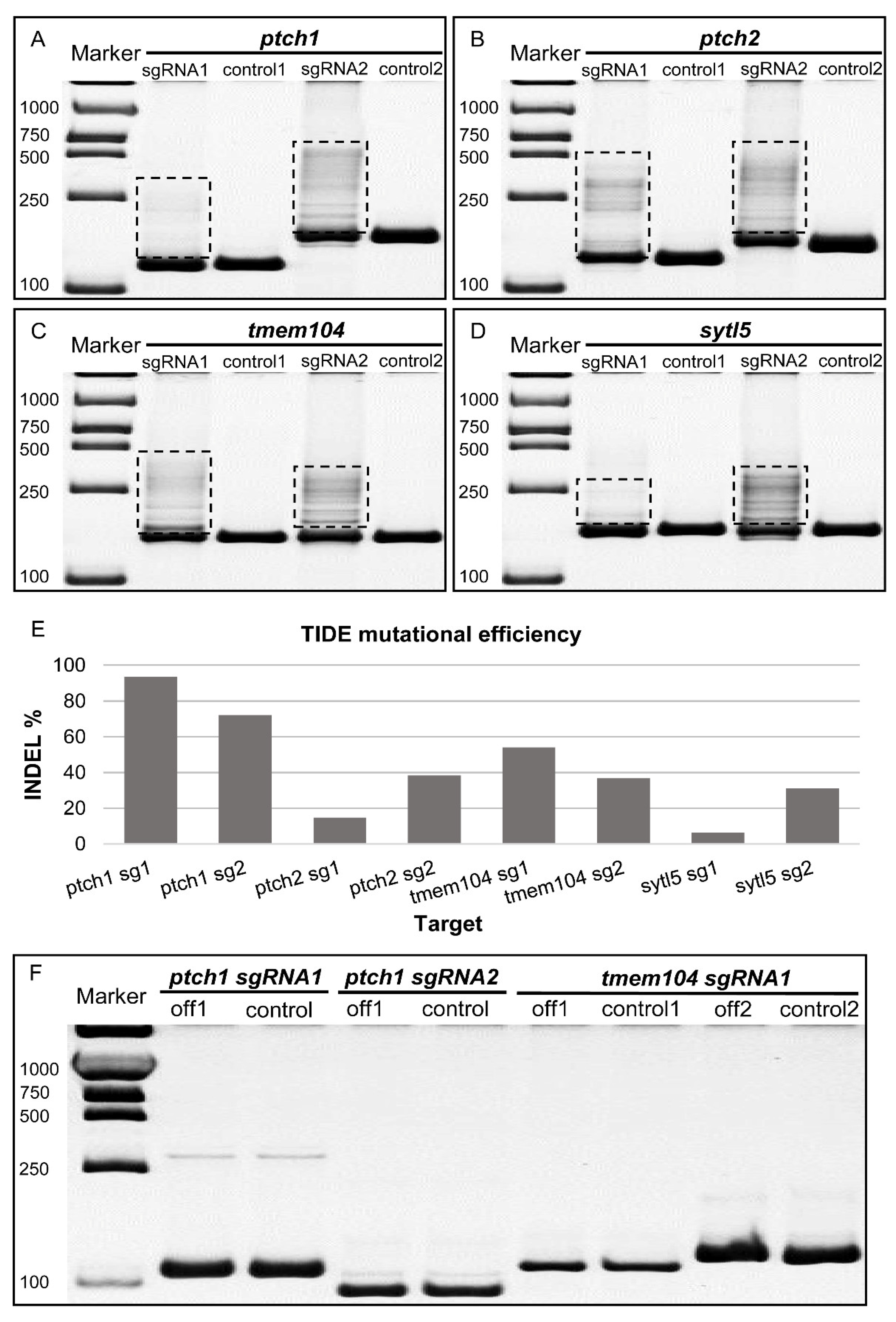 Biology 12 00336 g003 Biology 12 00336 g003