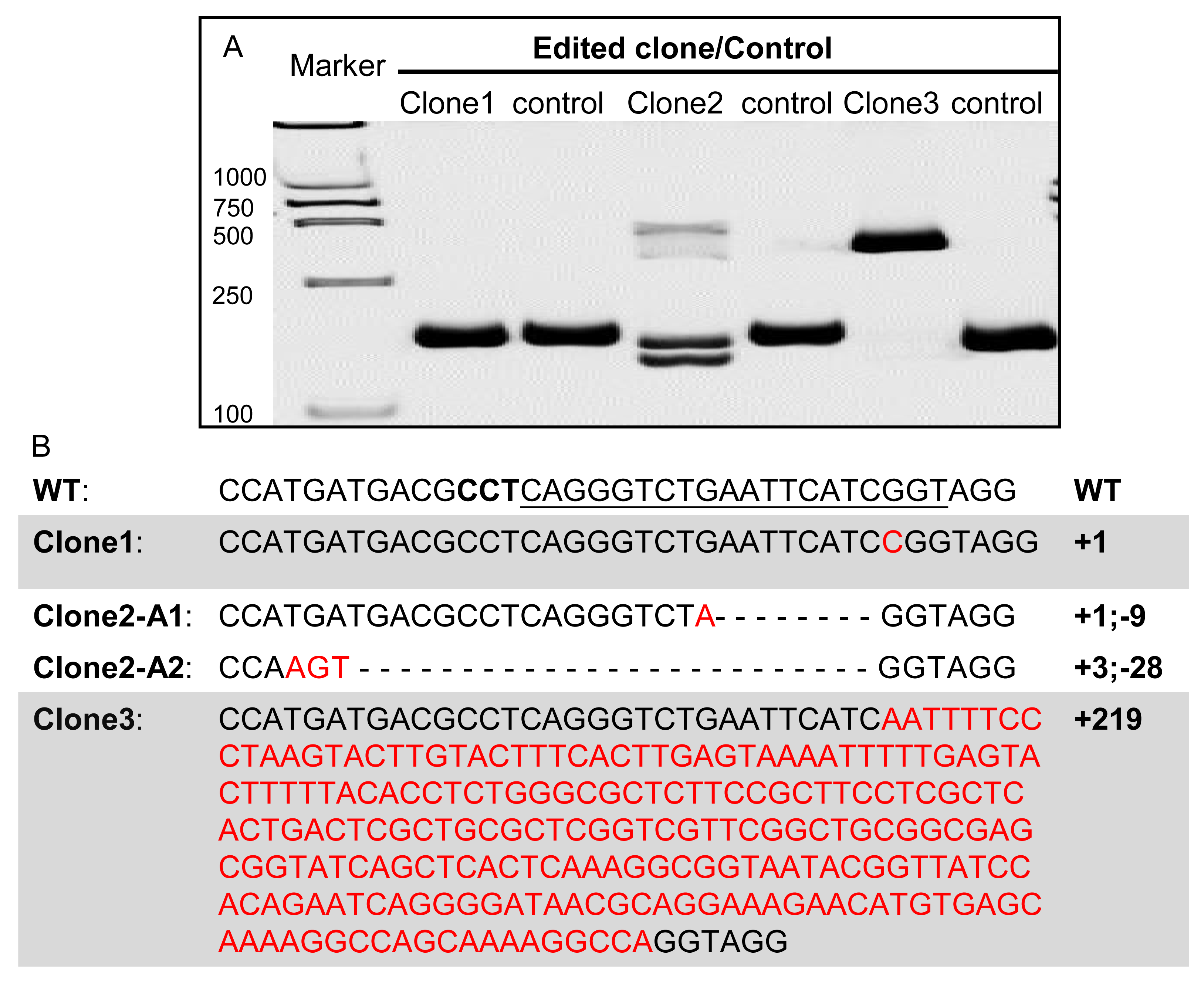 Biology 12 00336 g004 Biology 12 00336 g004