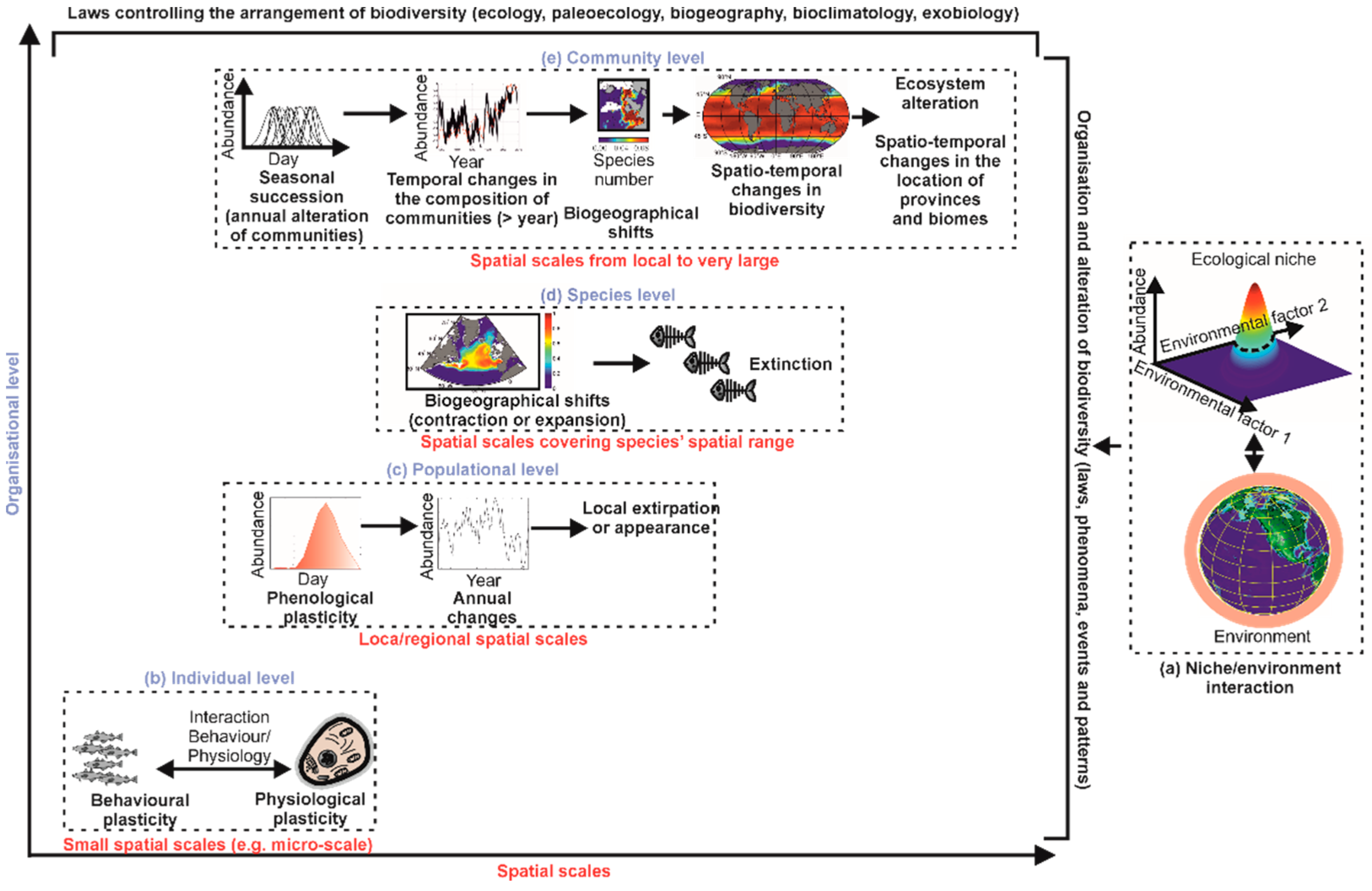 Biology 12 00339 g004 Biology 12 00339 g004