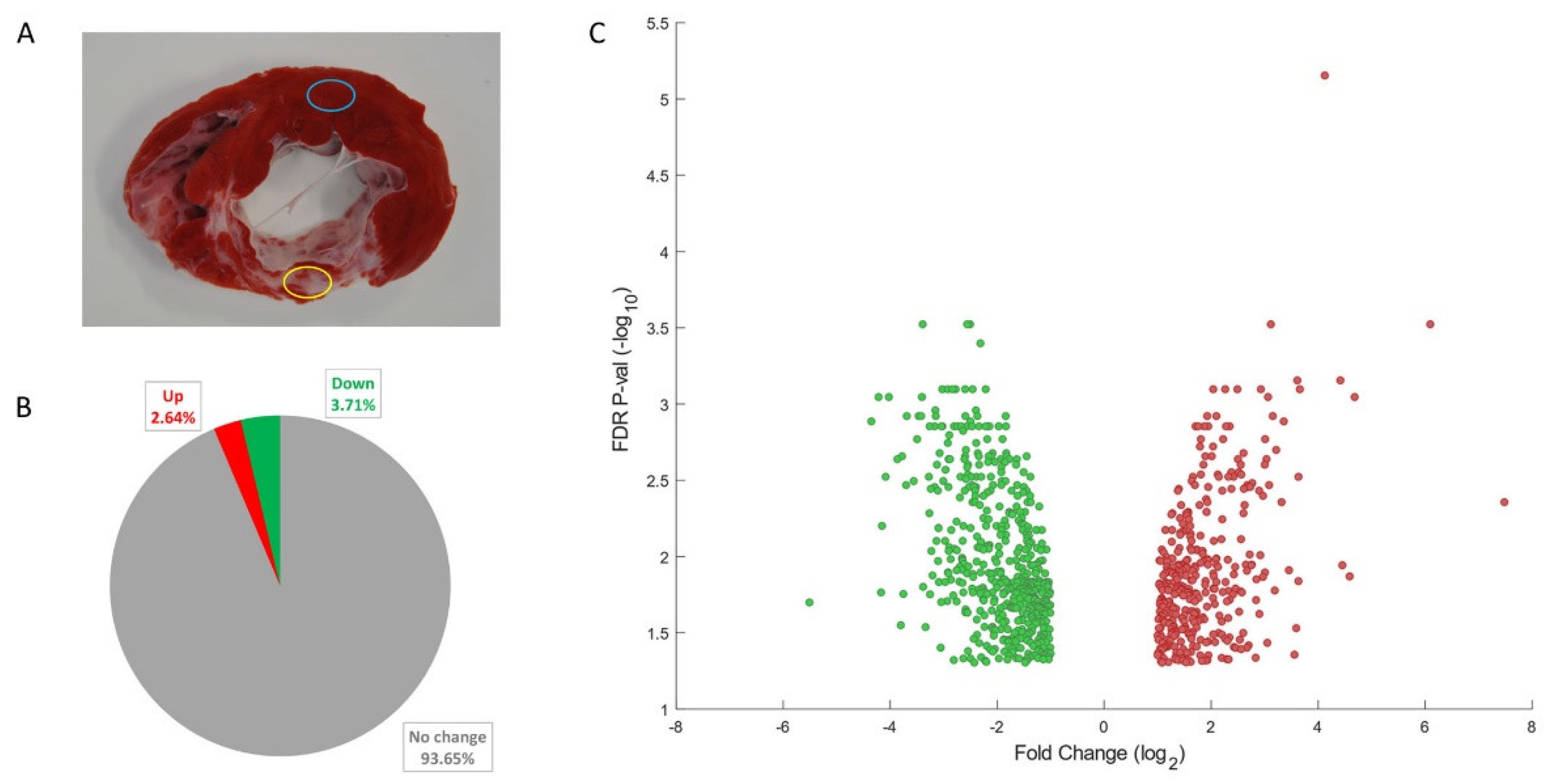 Biology 12 00340 g001 Biology 12 00340 g001