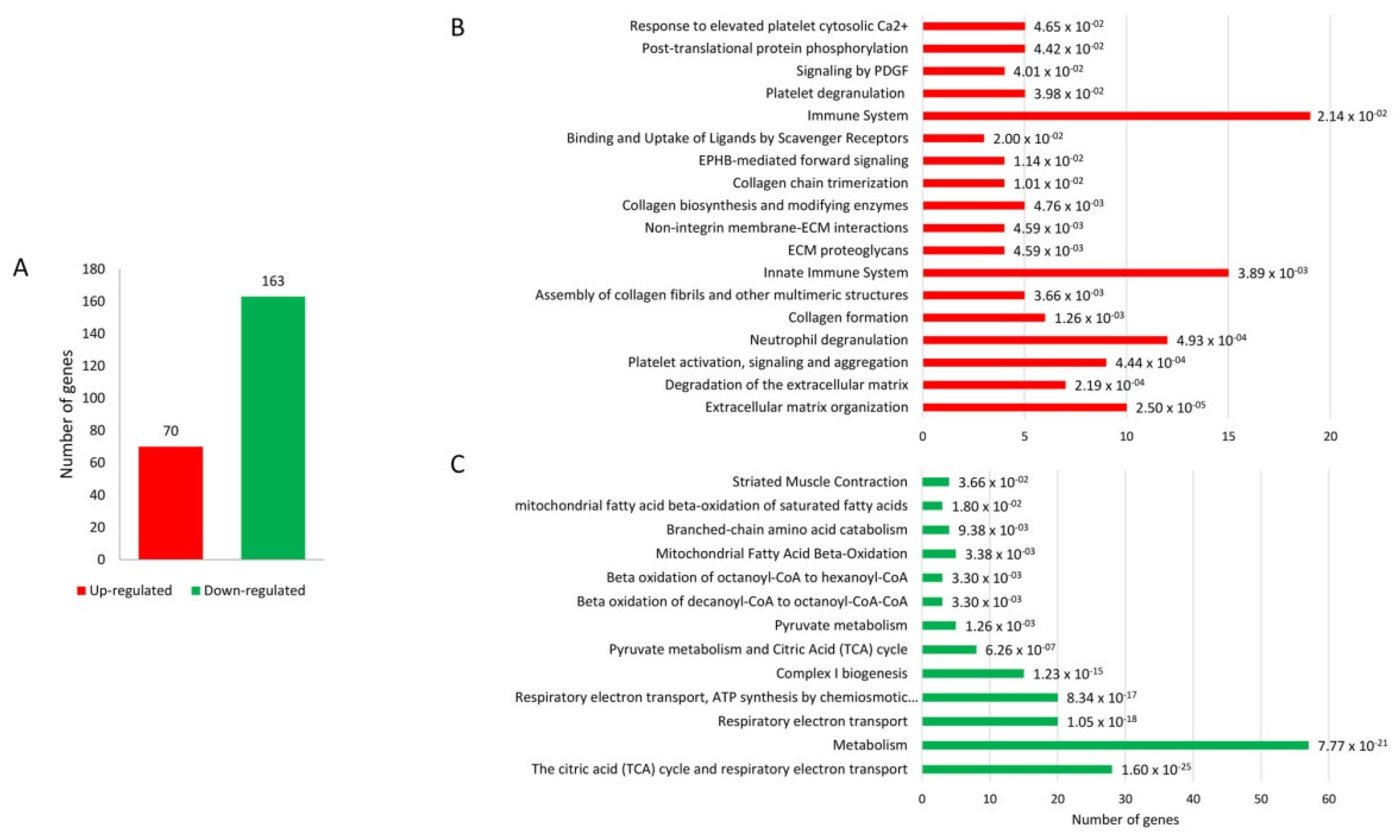 Biology 12 00340 g004 Biology 12 00340 g004