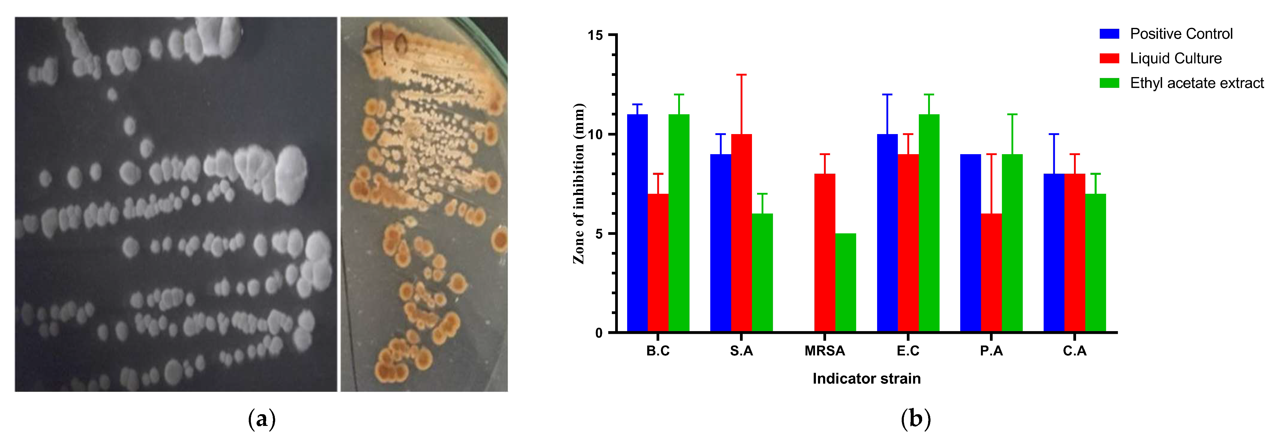 Biology 12 00345 g001 Biology 12 00345 g001