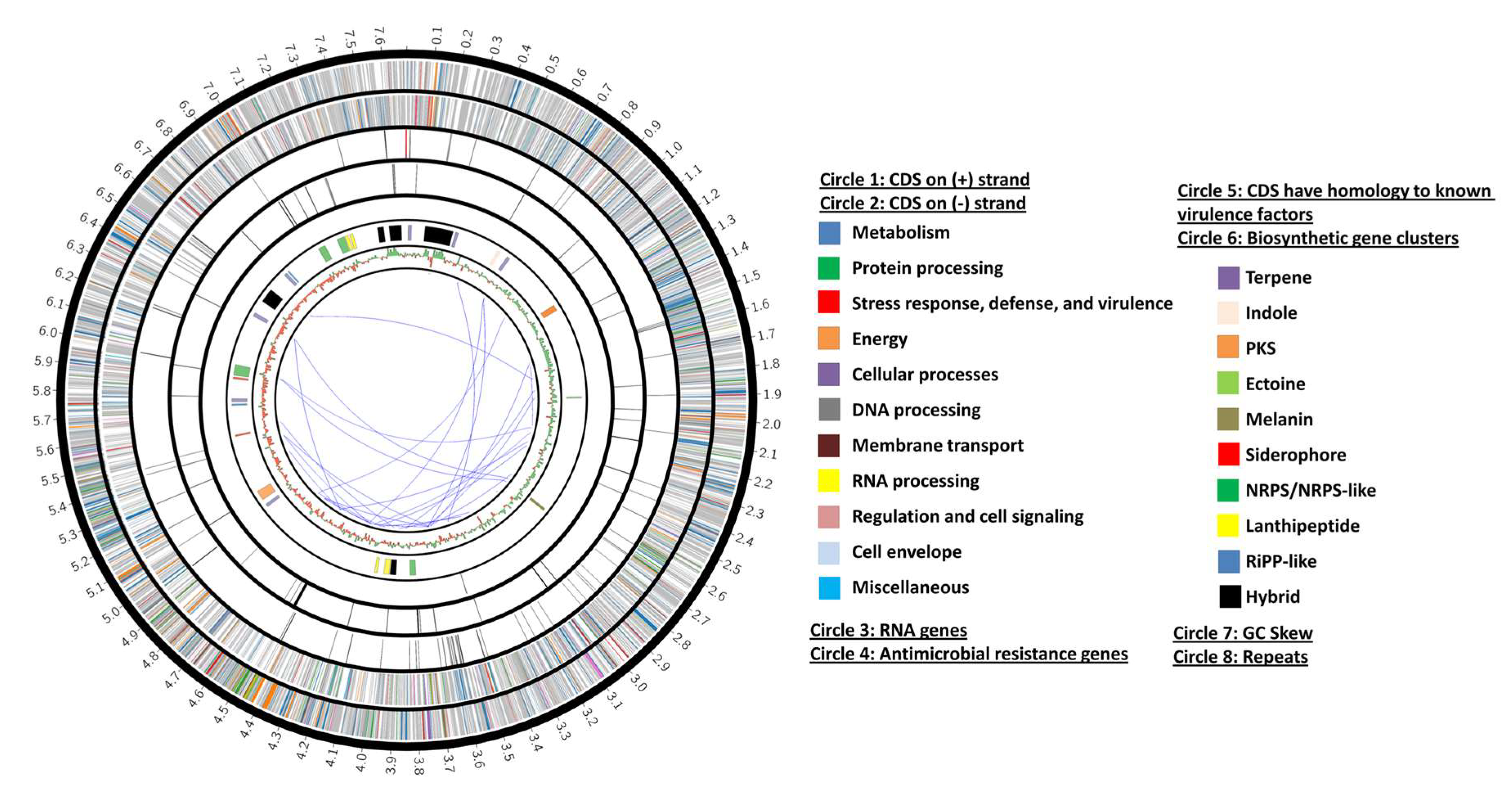 Biology 12 00345 g002 Biology 12 00345 g002