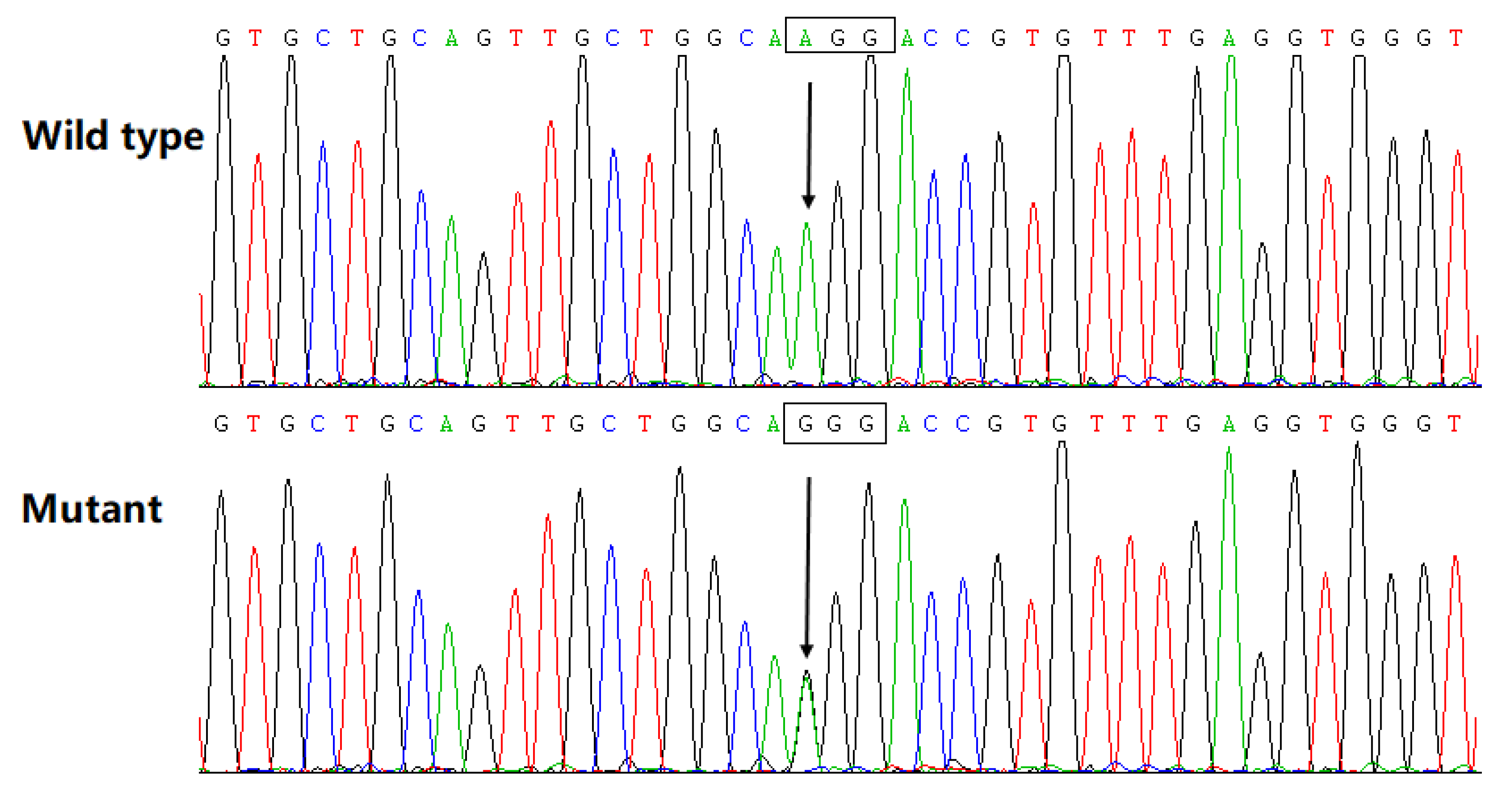 Biology 12 00346 g002