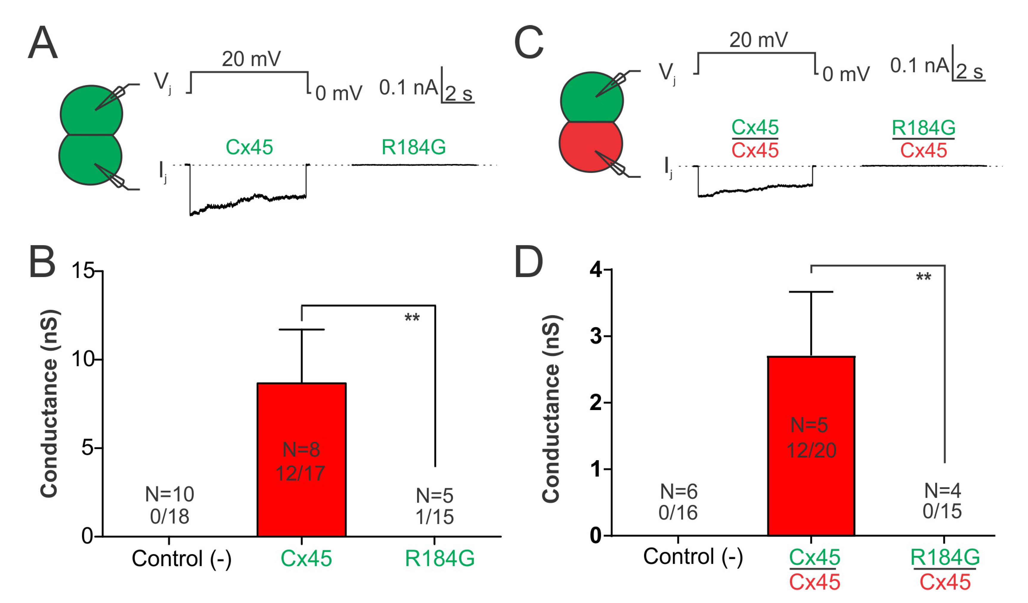 Biology 12 00346 g003
