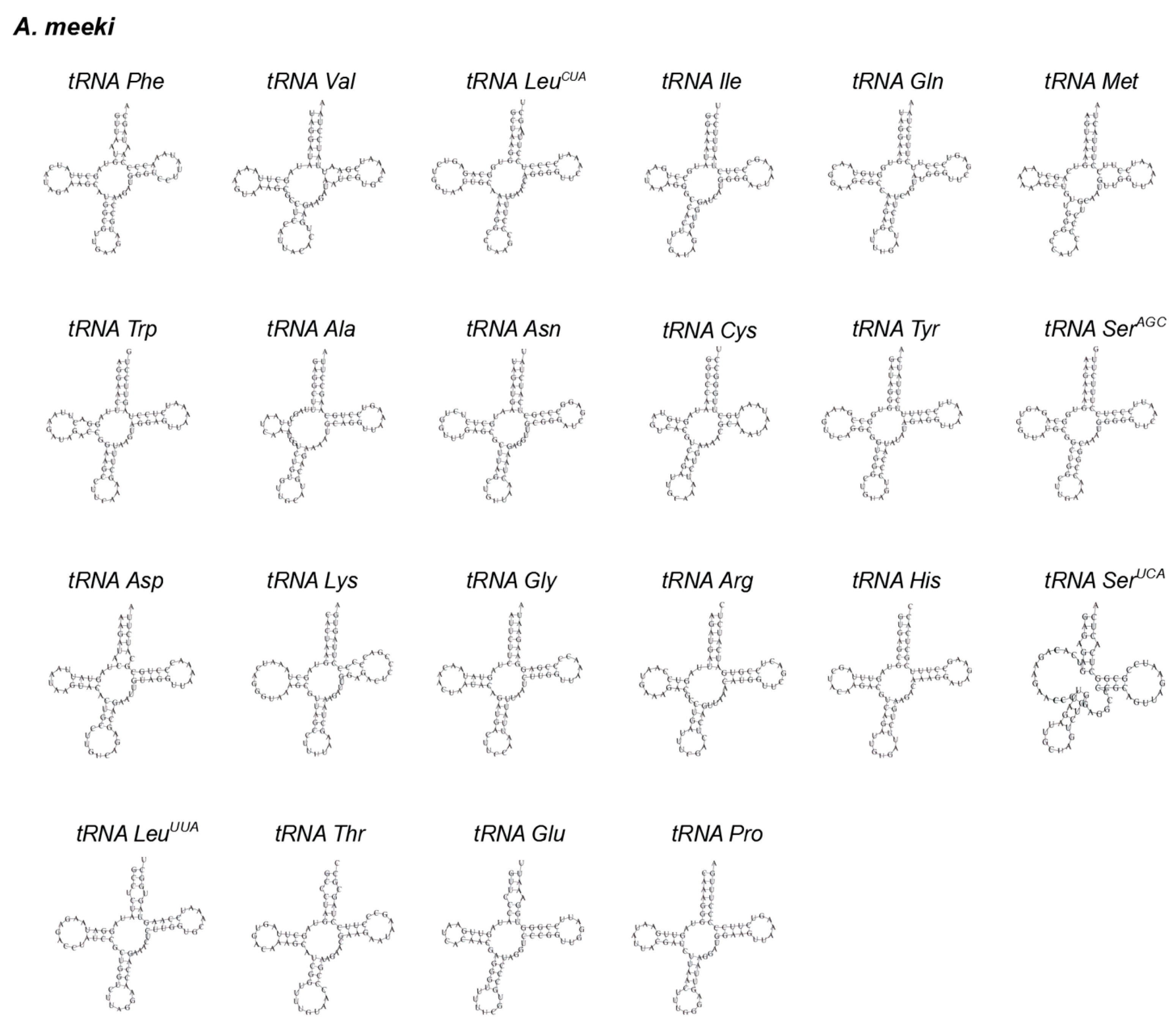 Biology 12 00348 g003 Biology 12 00348 g003