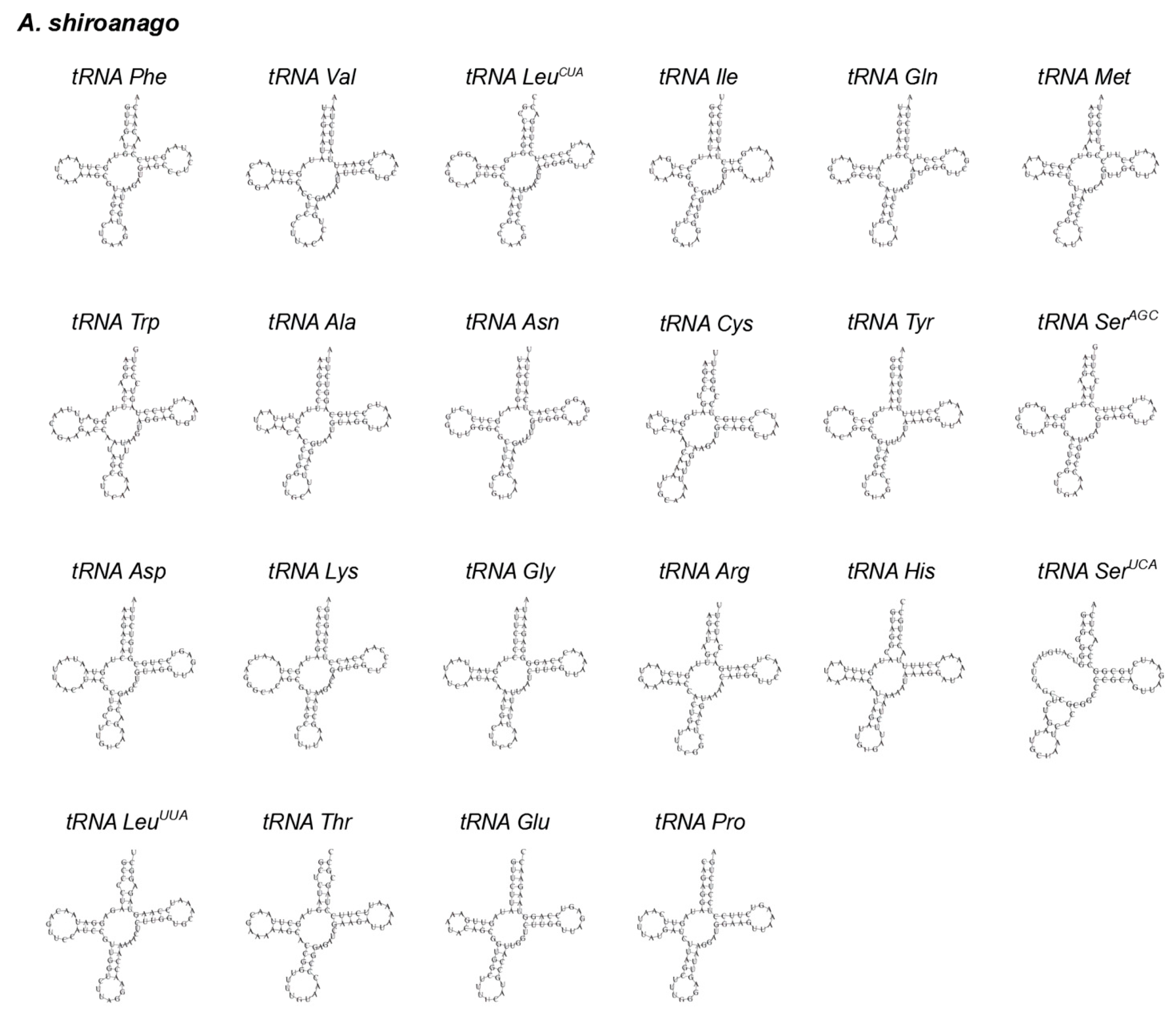 Biology 12 00348 g004 Biology 12 00348 g004