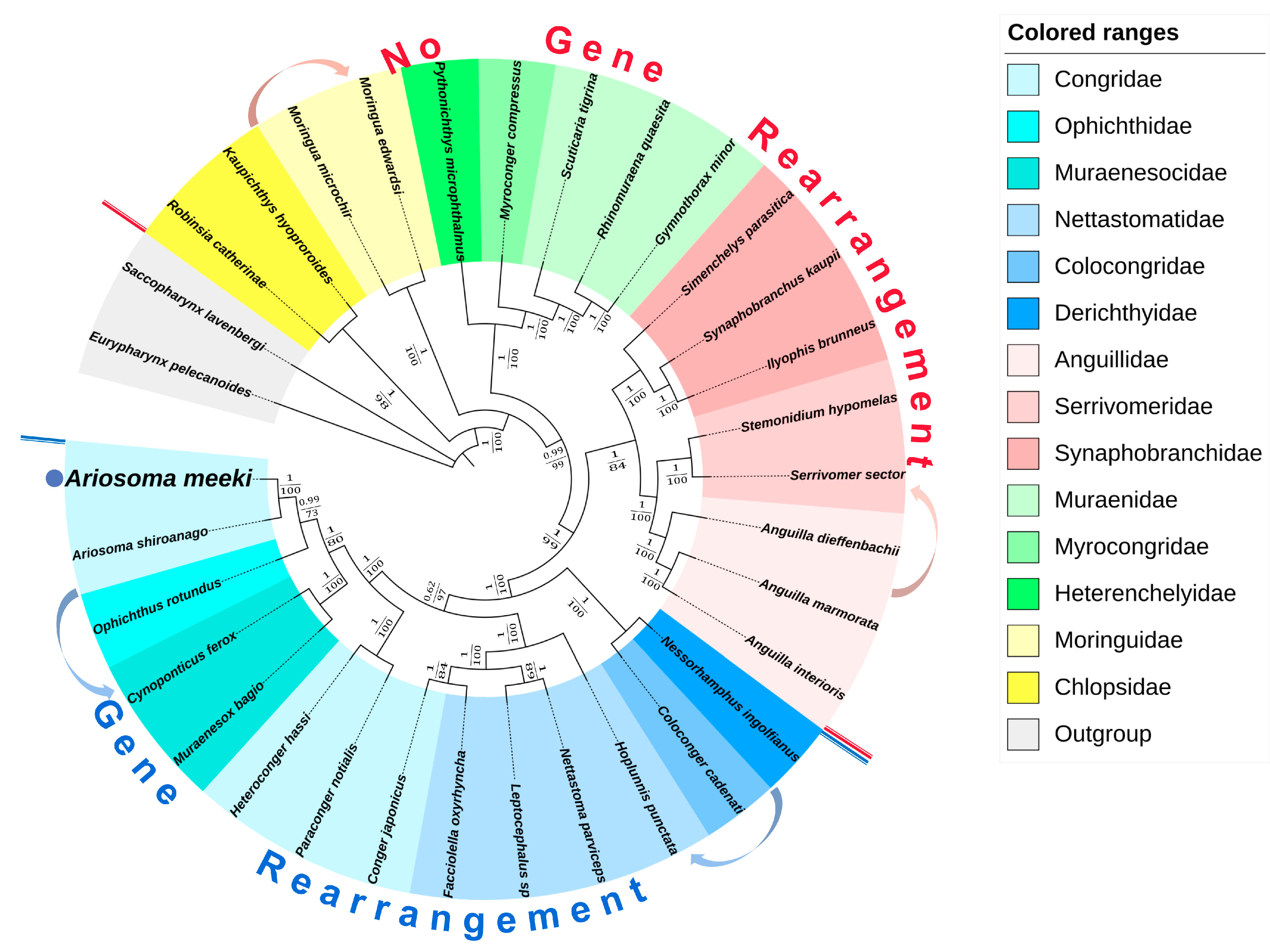 Biology 12 00348 g008 Biology 12 00348 g008