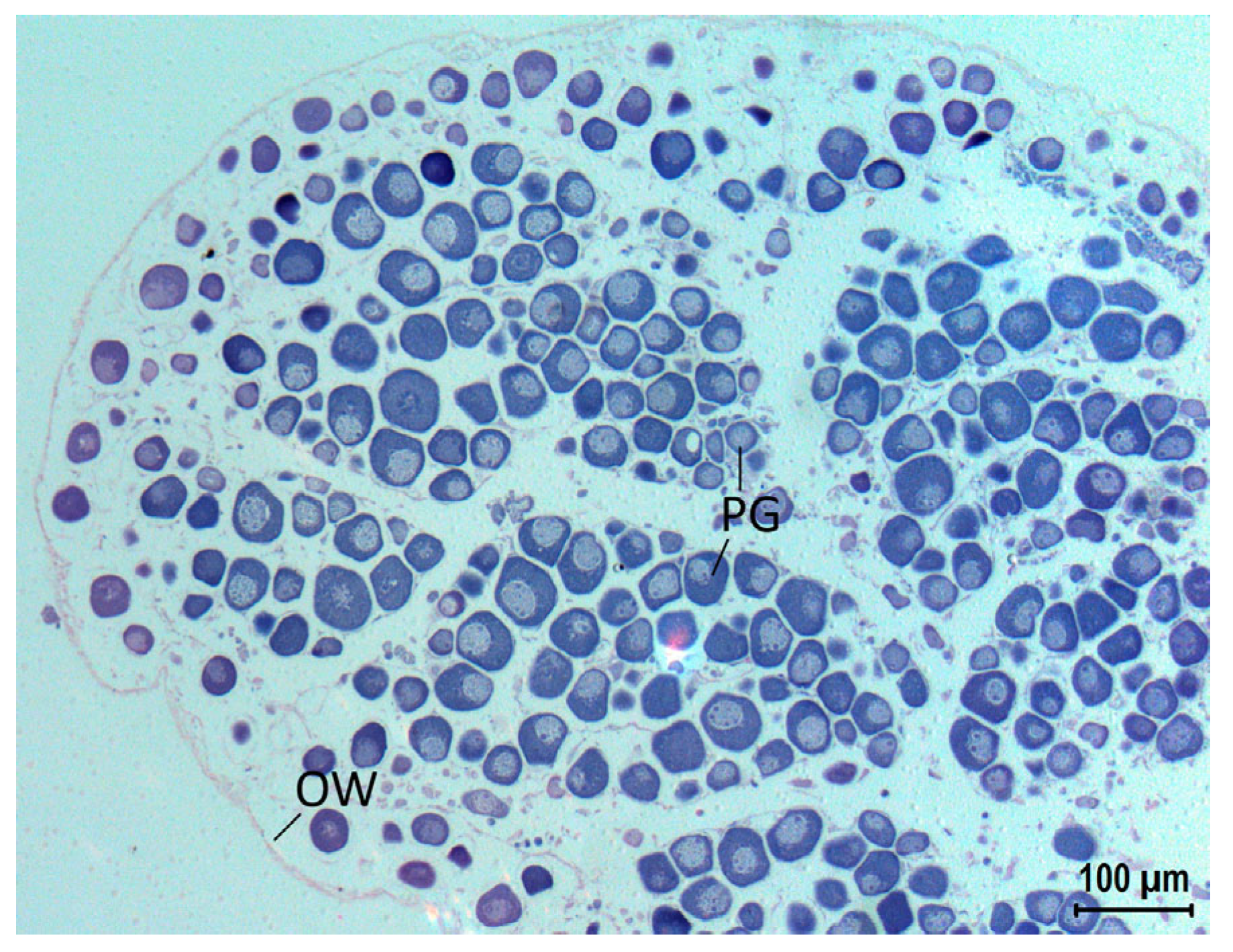 Biology 12 00349 g003 Biology 12 00349 g003