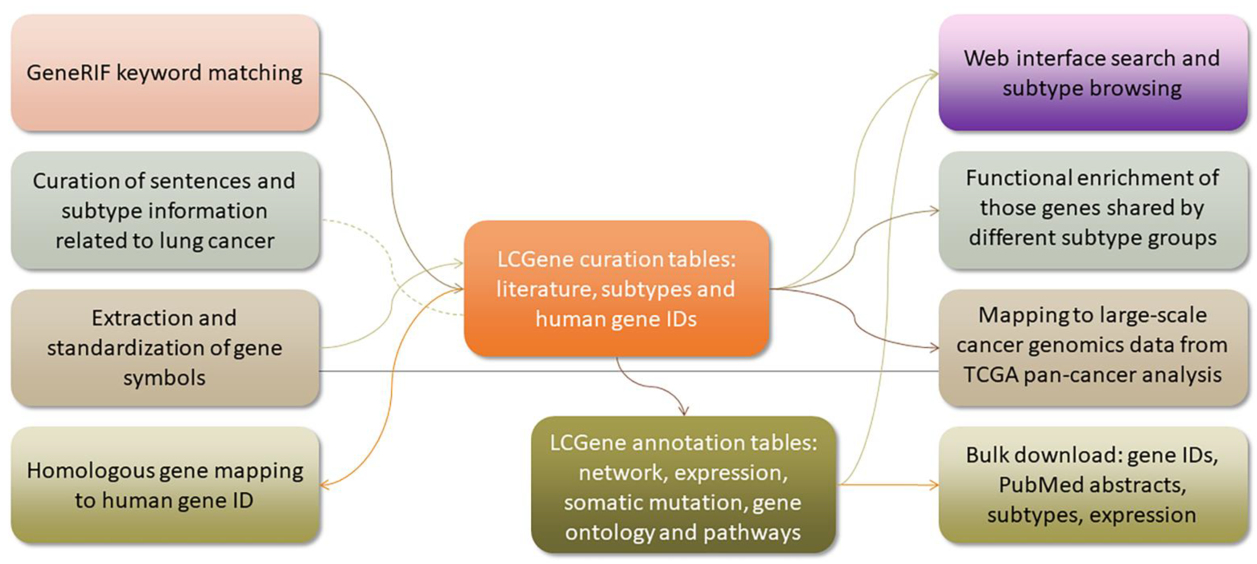 Biology 12 00357 g001