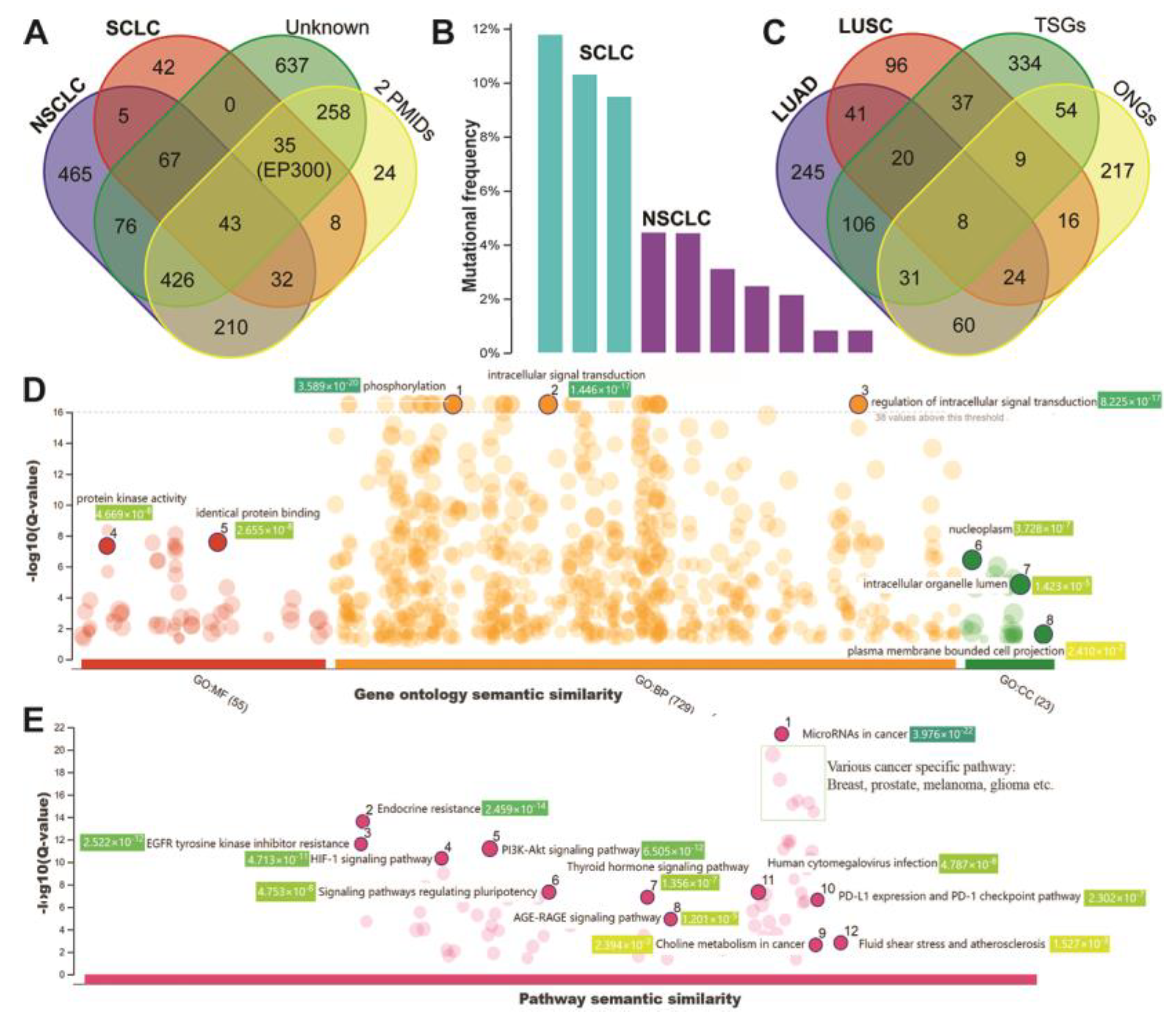 Biology 12 00357 g003