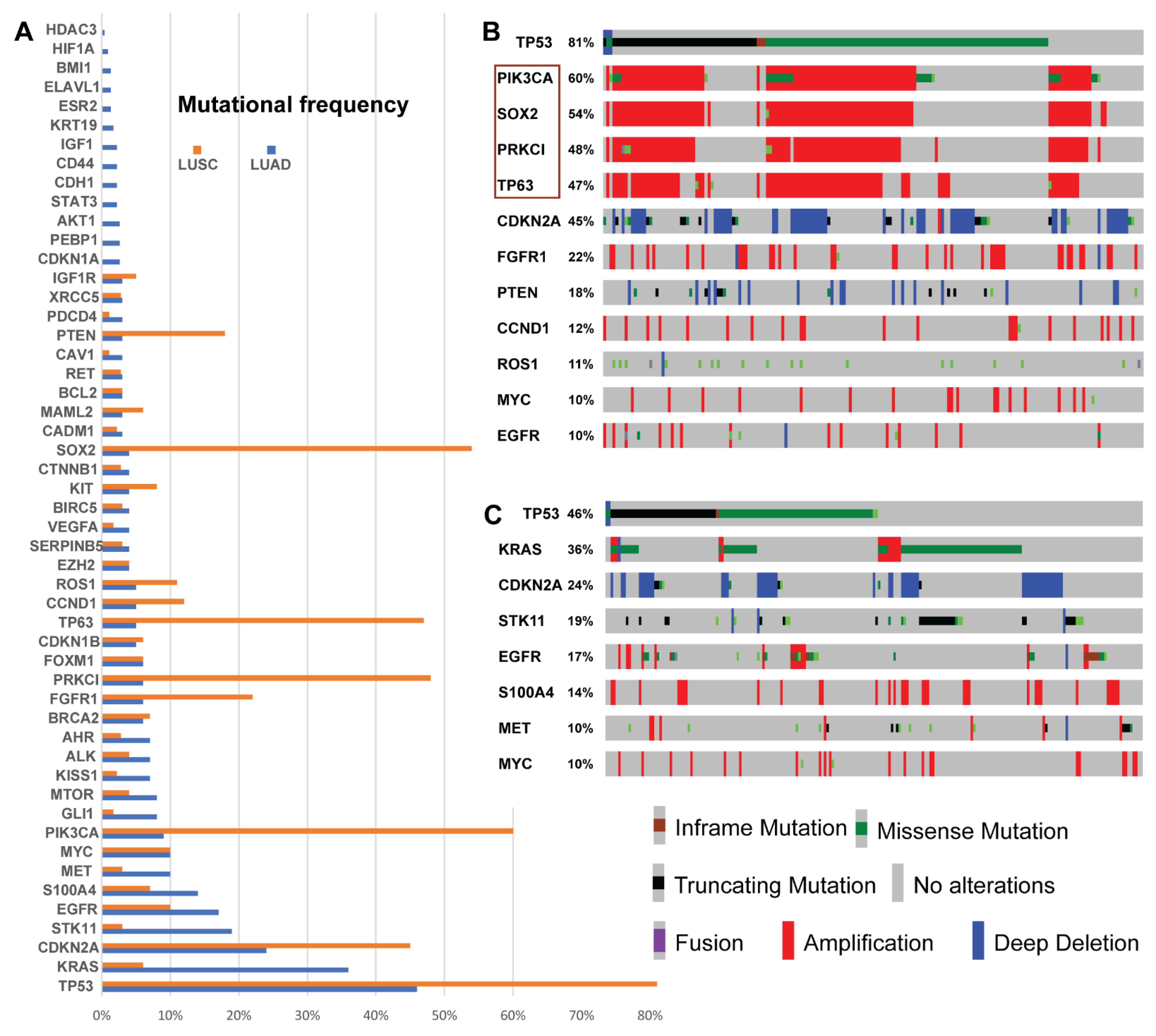Biology 12 00357 g004