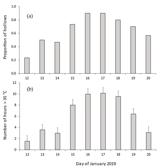Biology Free FullText Thermal Profiles of Chainsaw Hollows and
