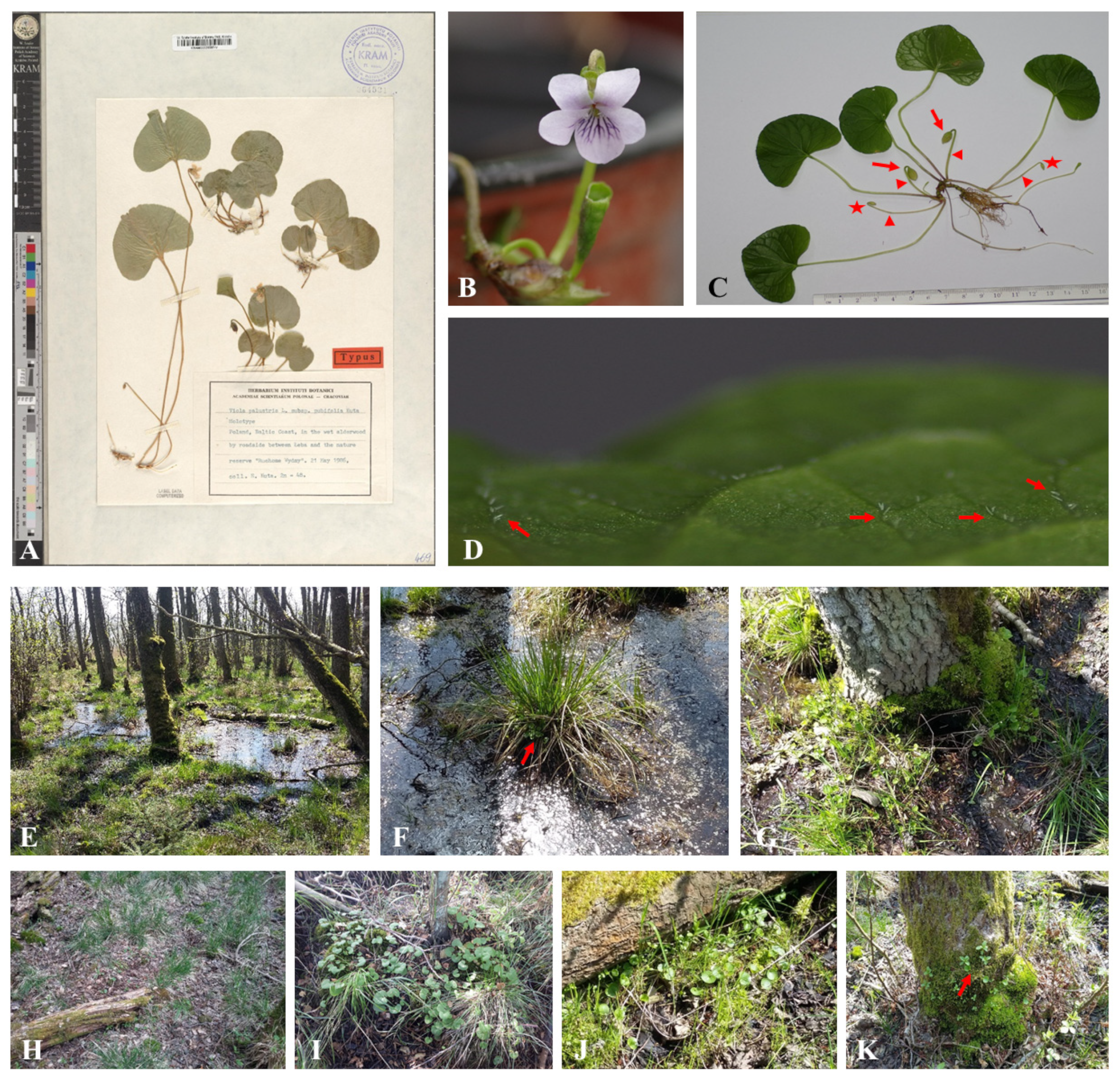Biology 12 00362 g001