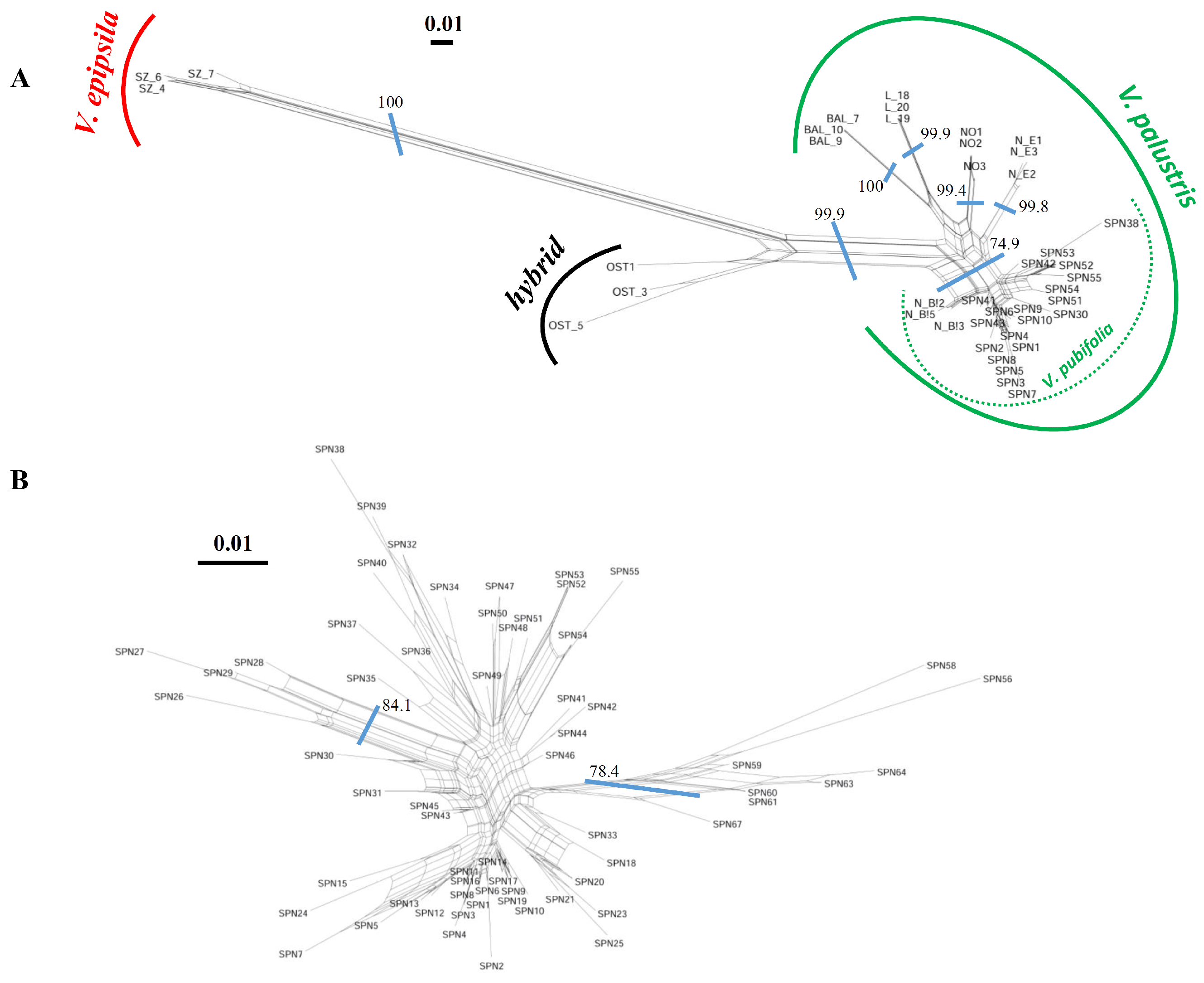 Biology 12 00362 g003