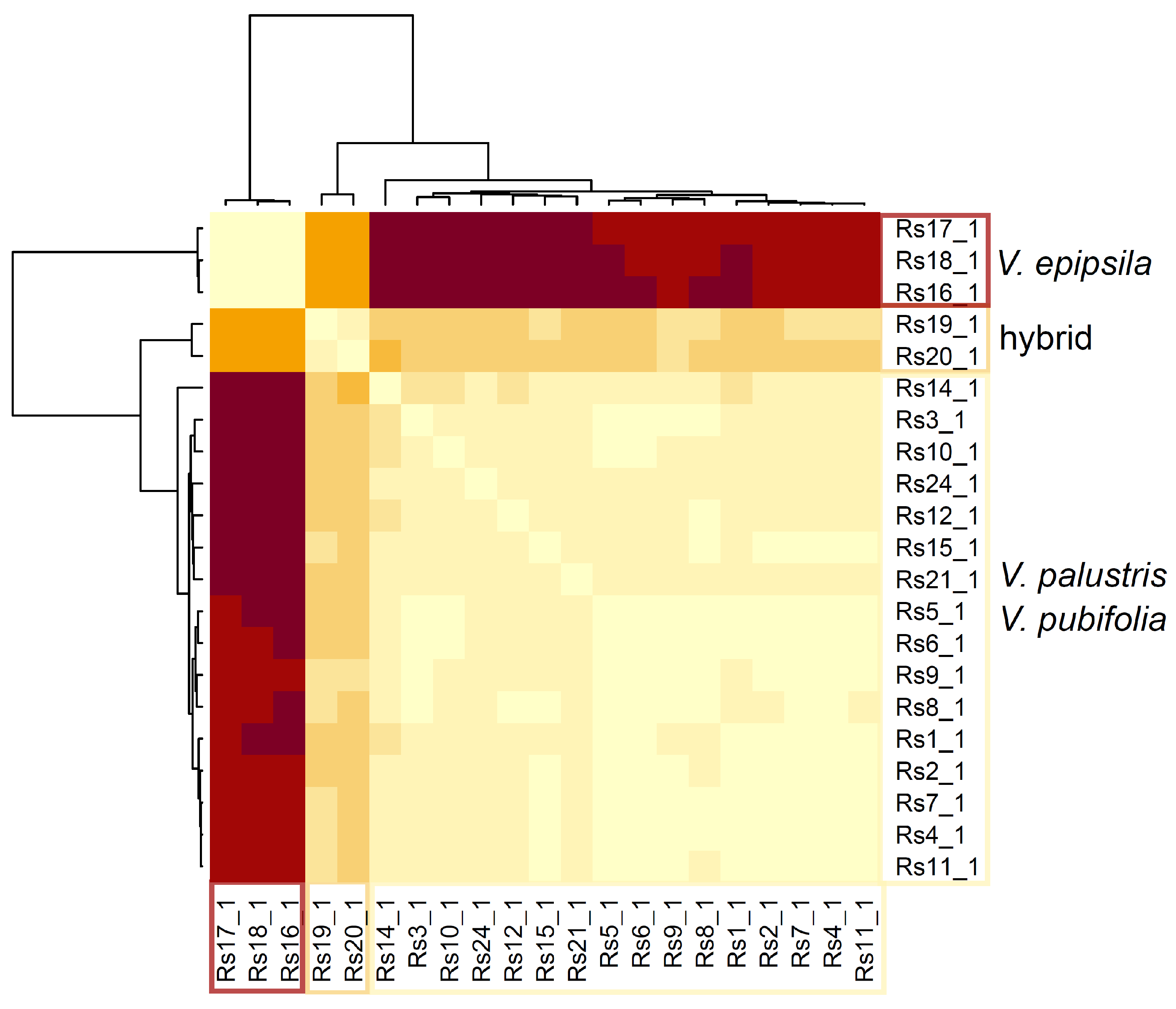 Biology 12 00362 g005