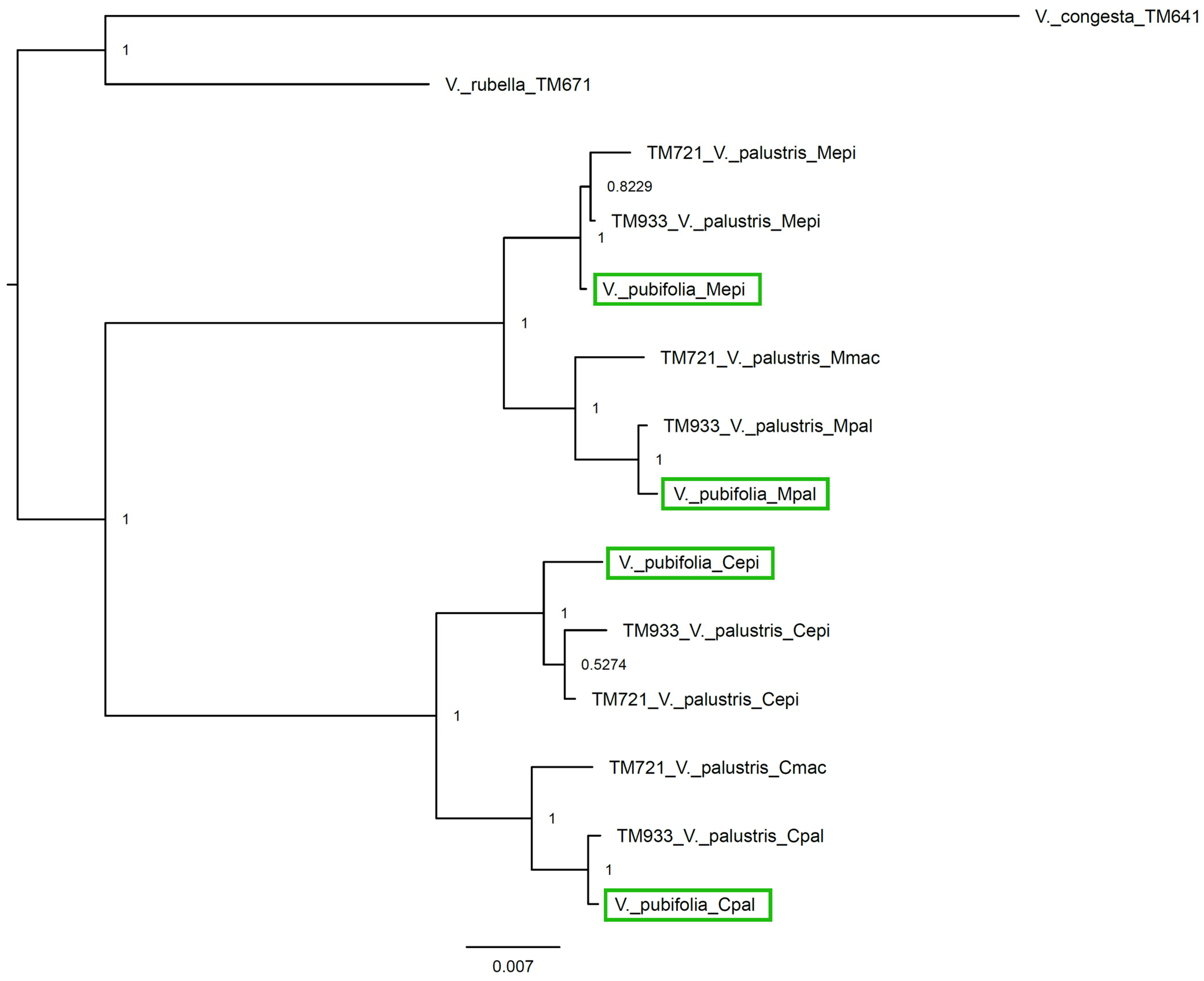 Biology 12 00362 g007