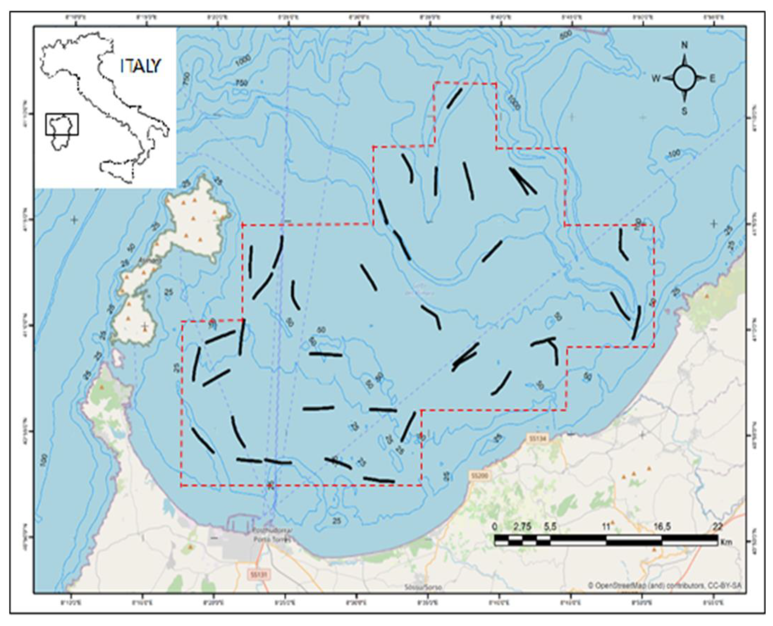 Biology 12 00363 g001 Biology 12 00363 g001