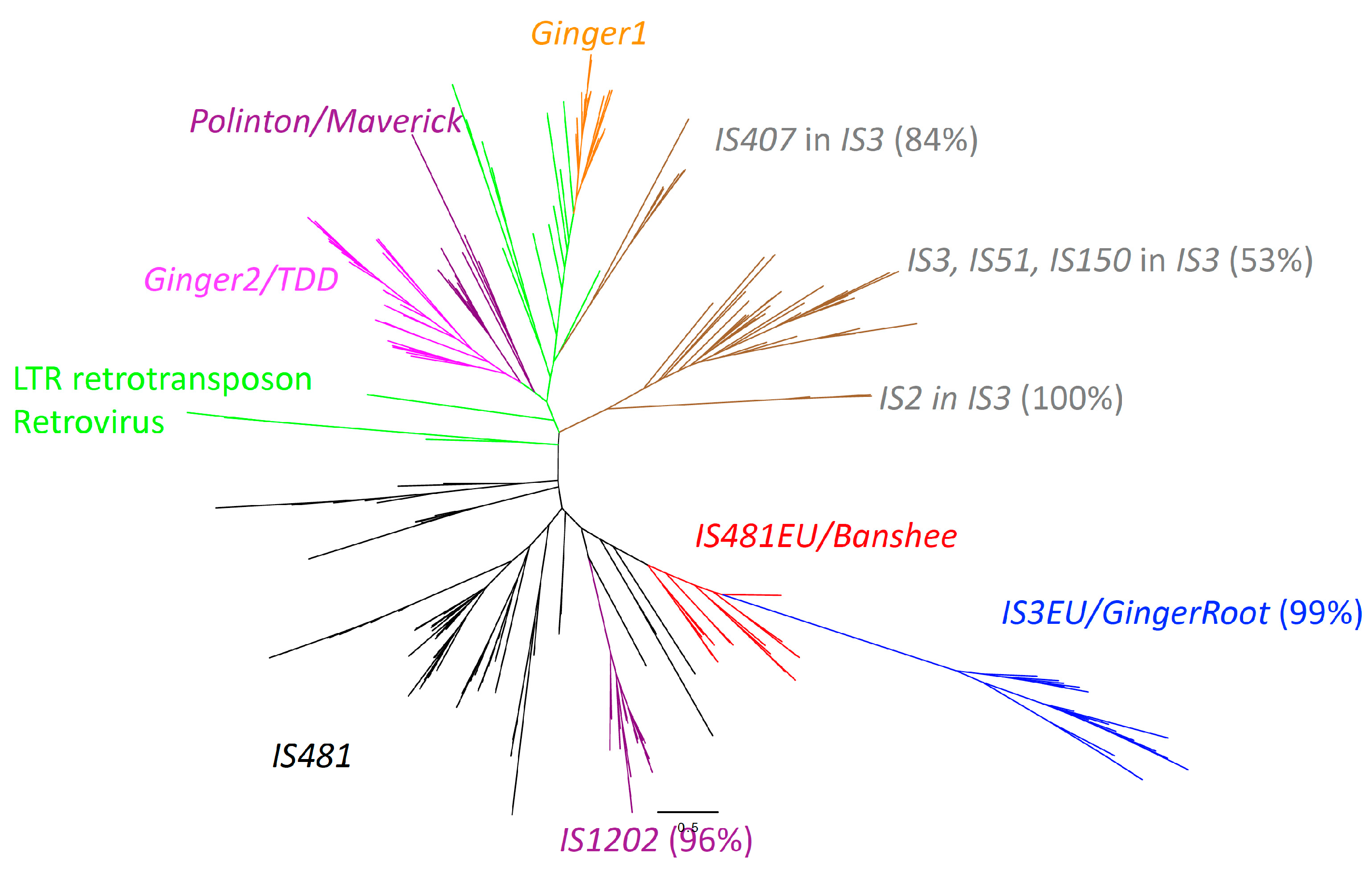 Biology 12 00365 g004 Biology 12 00365 g004