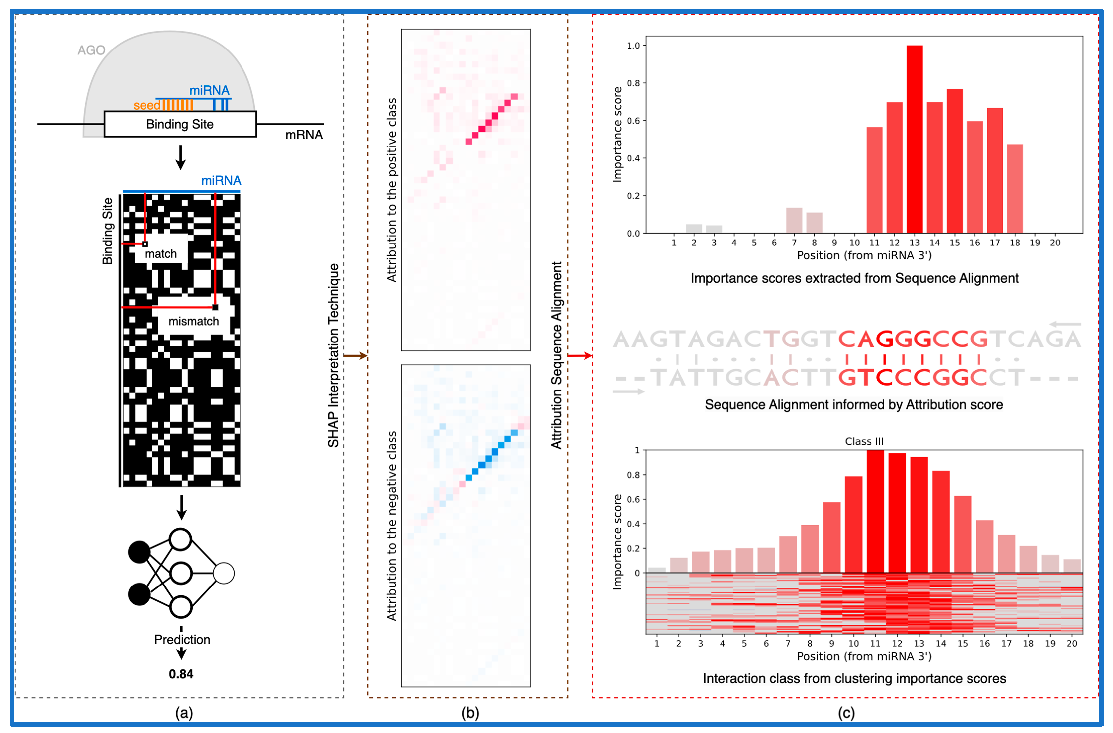 Biology 12 00369 g001 Biology 12 00369 g001