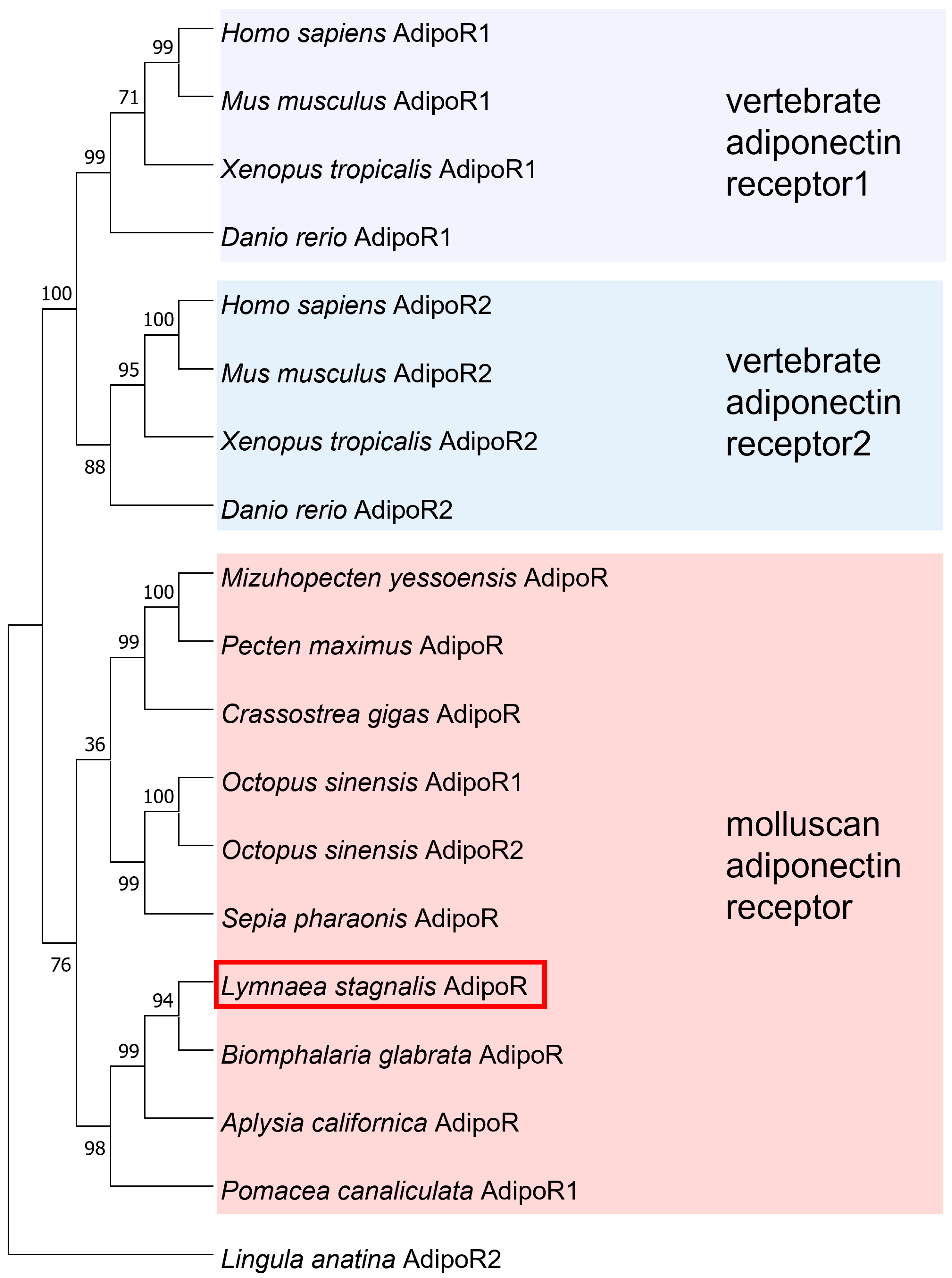 Biology 12 00375 g004 Biology 12 00375 g004