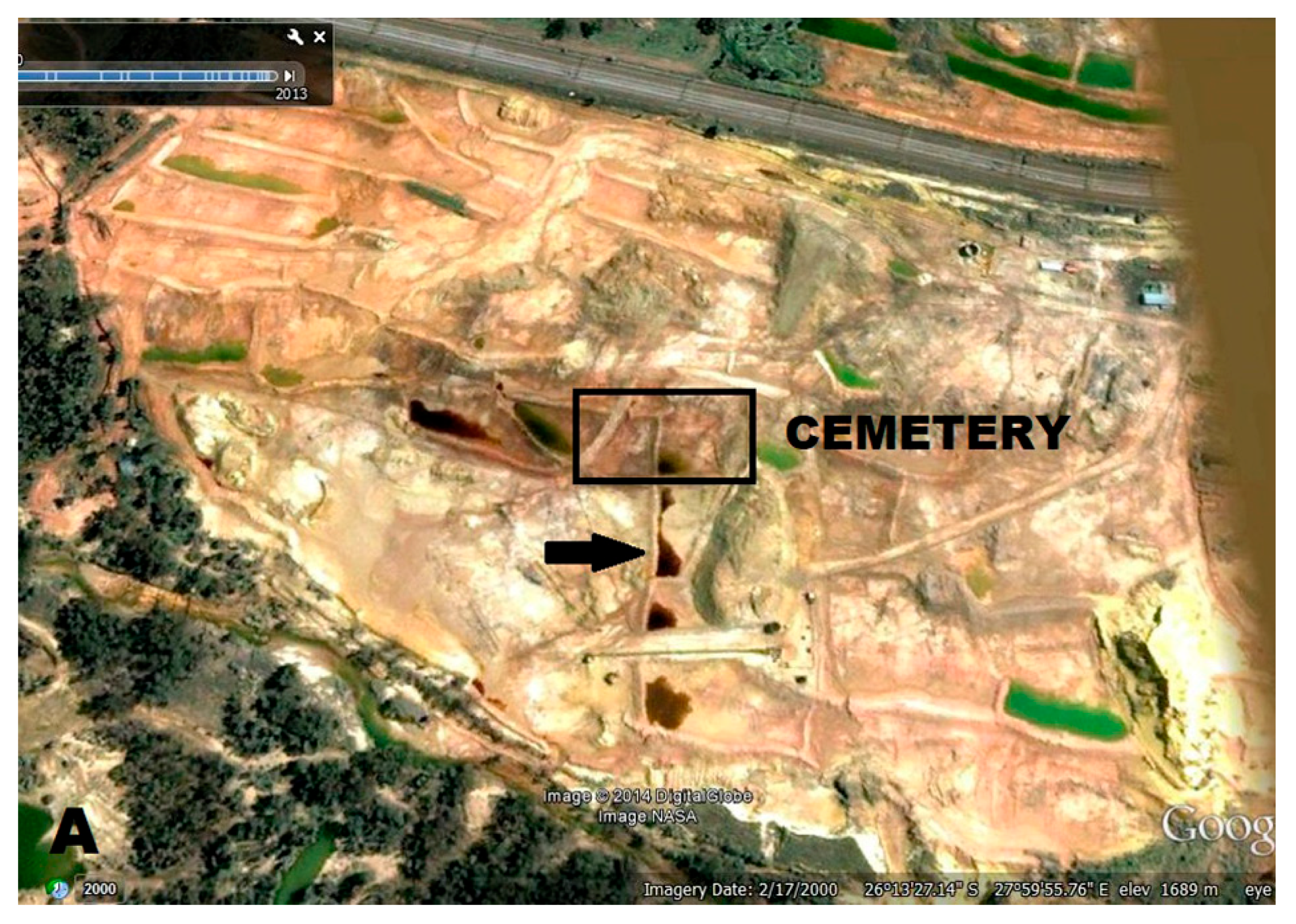 Biology 12 00378 g001a