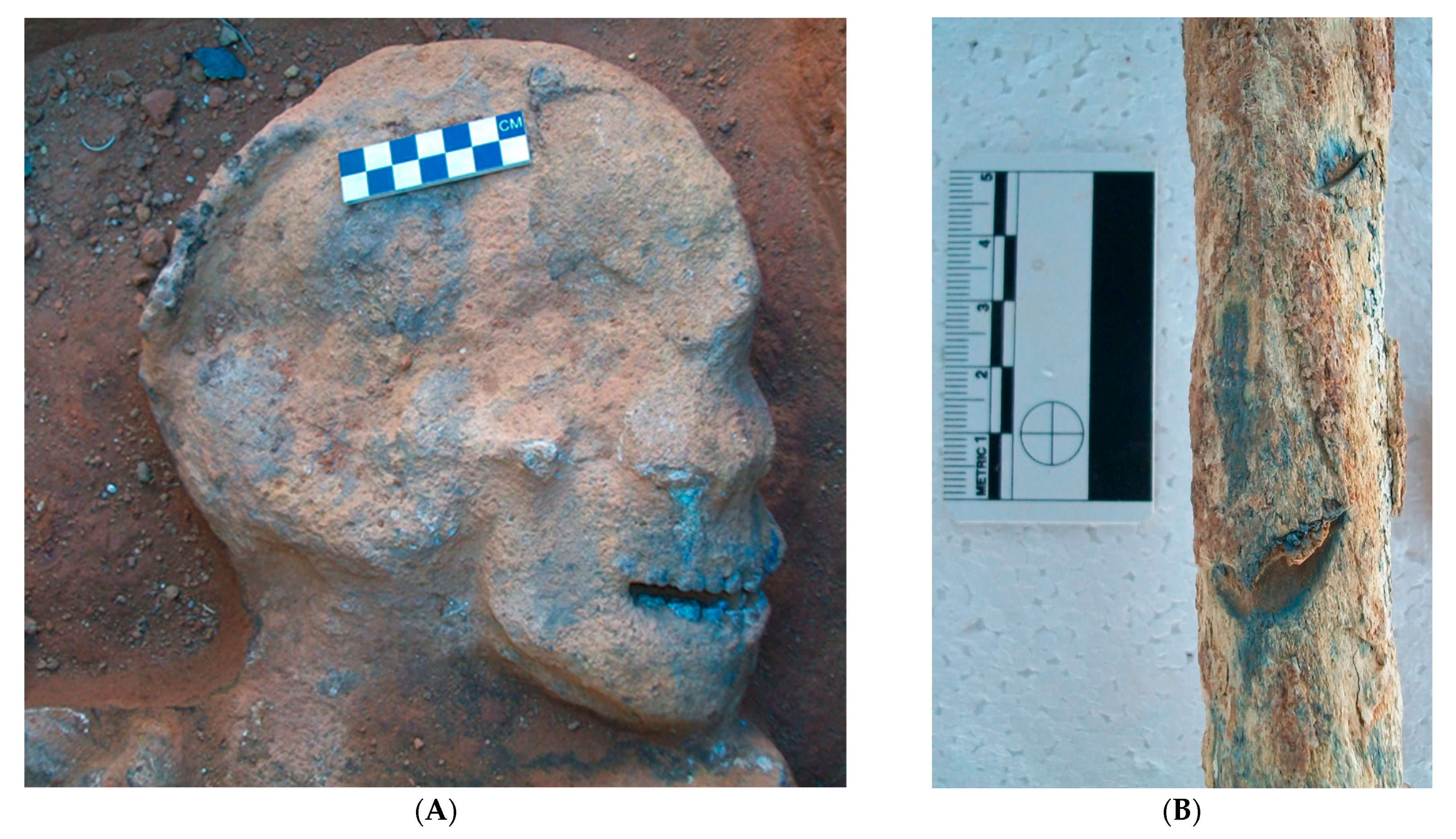 Biology 12 00378 g002