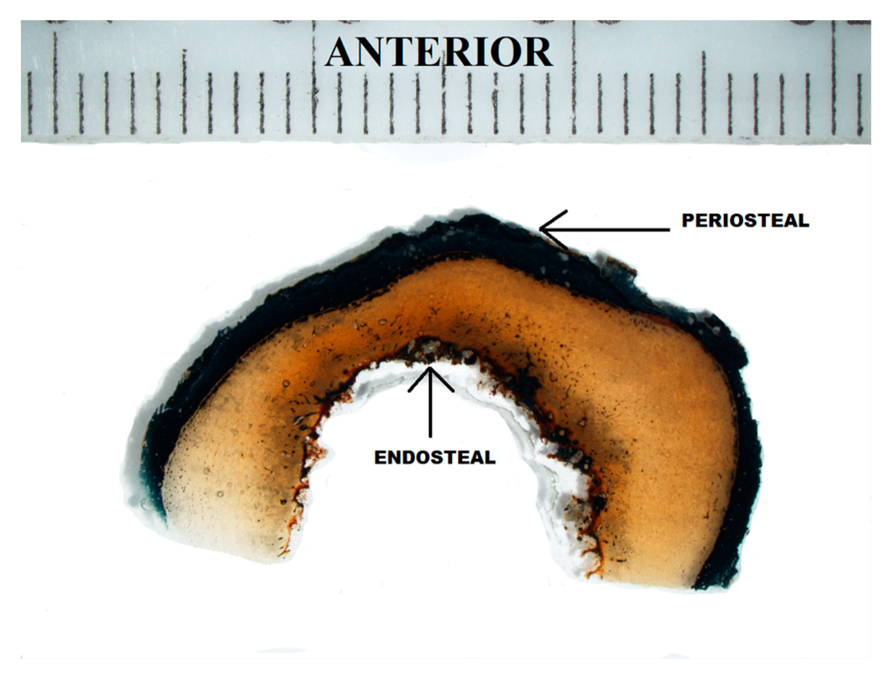 Biology 12 00378 g004