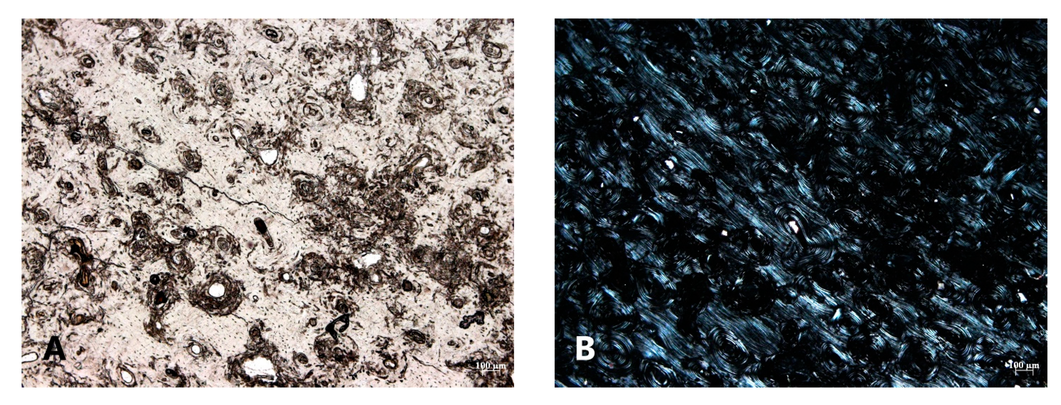 Biology 12 00378 g007a