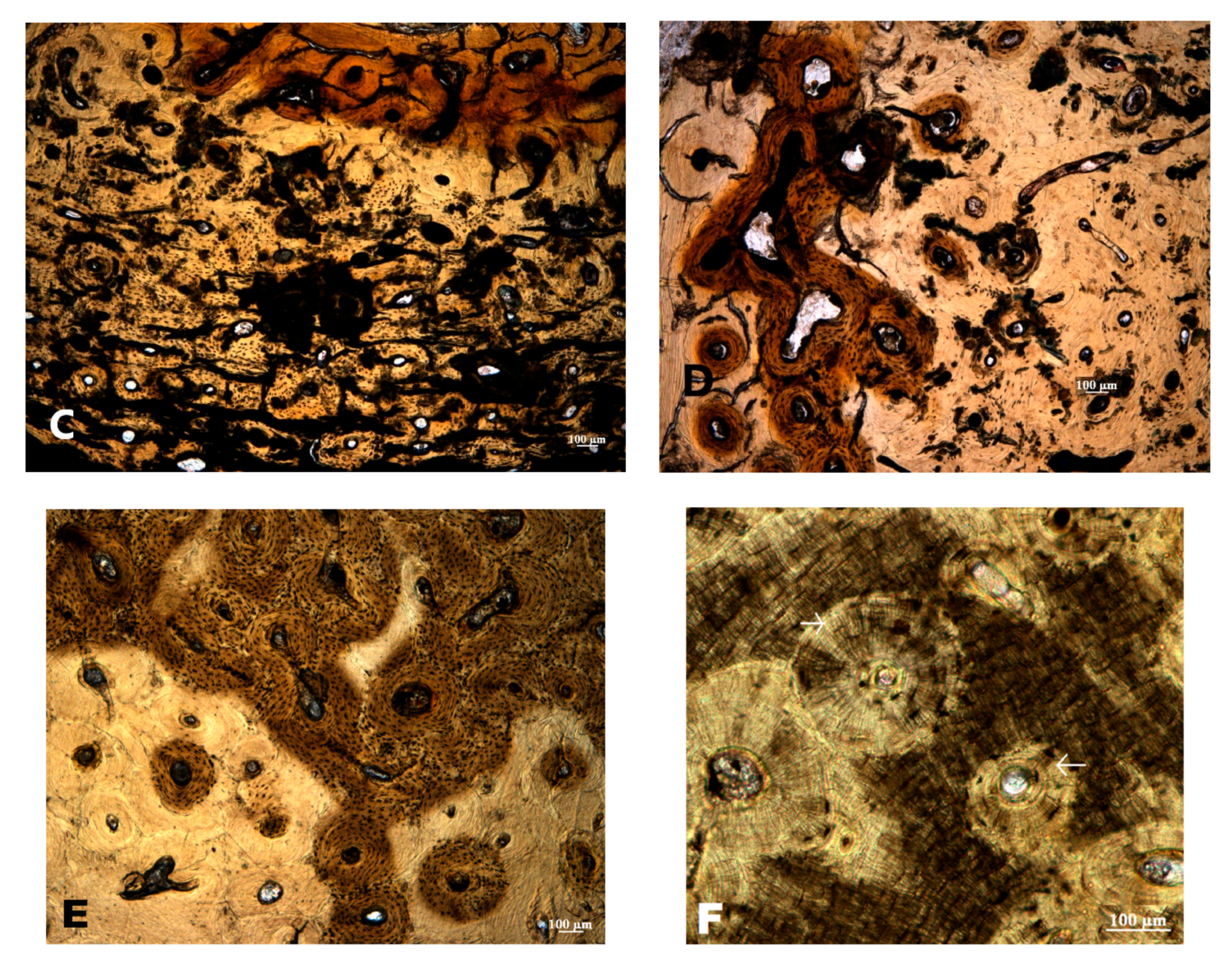 Biology 12 00378 g007b
