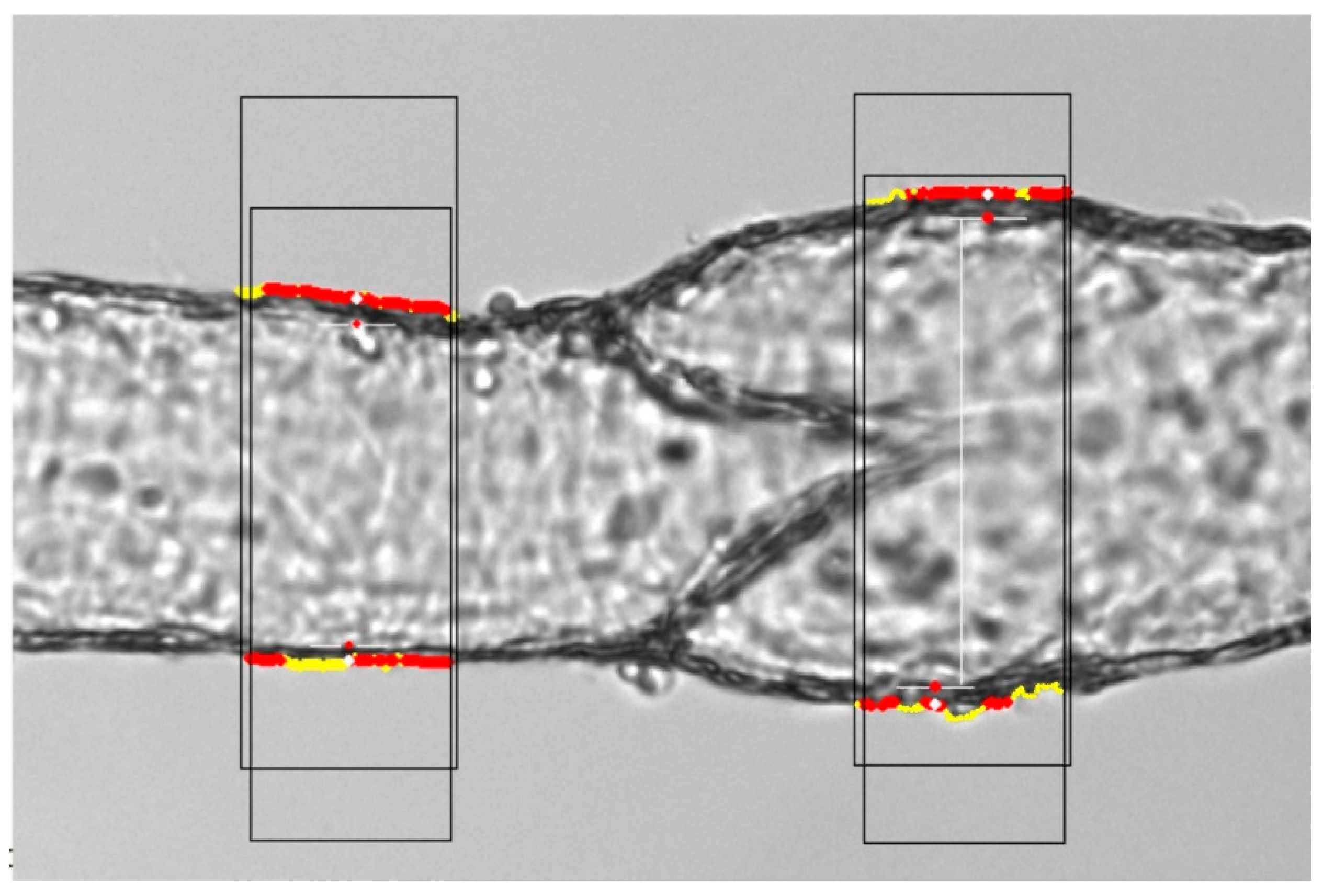 Biology 12 00379 g003
