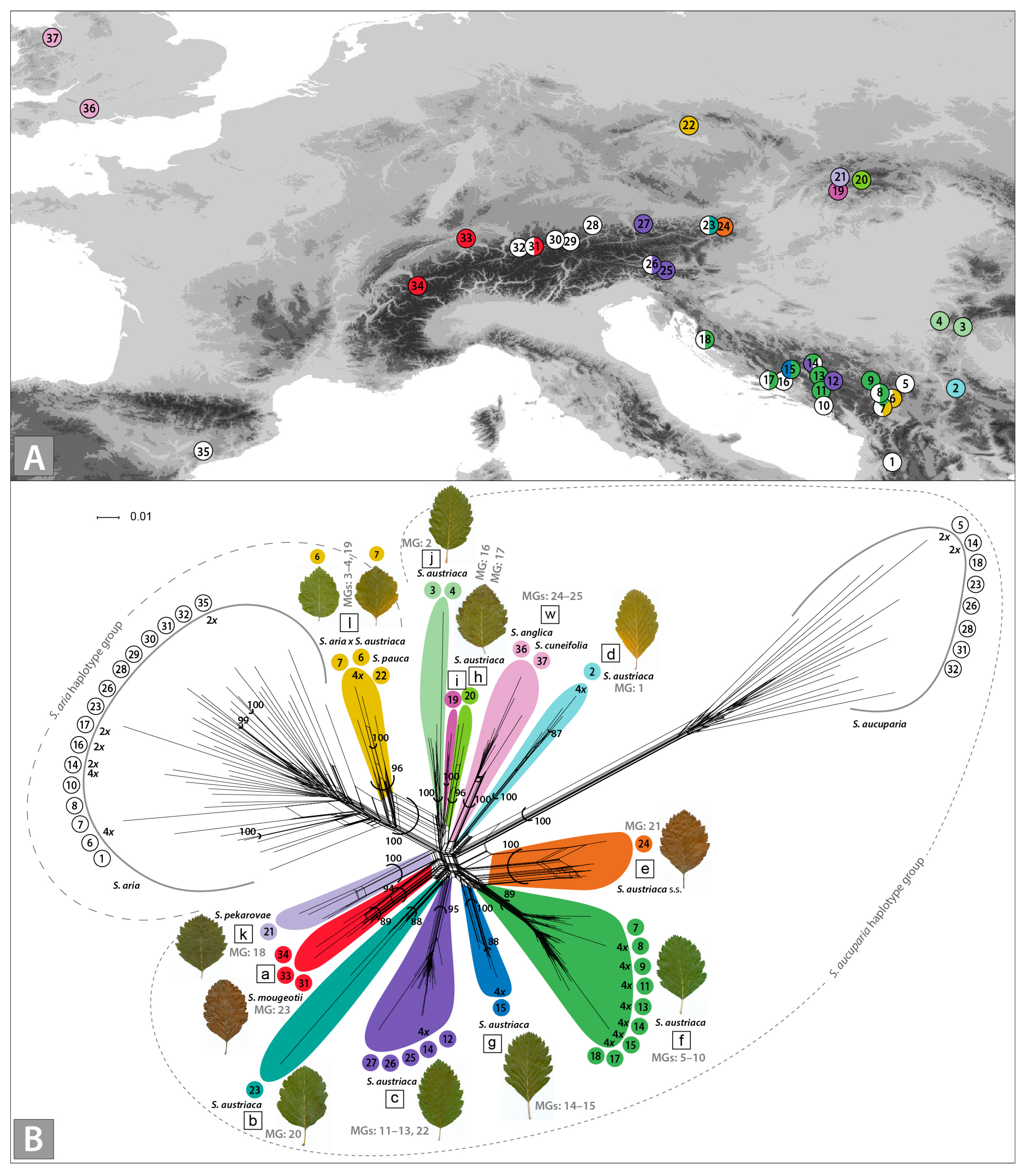 Biology 12 00380 g001