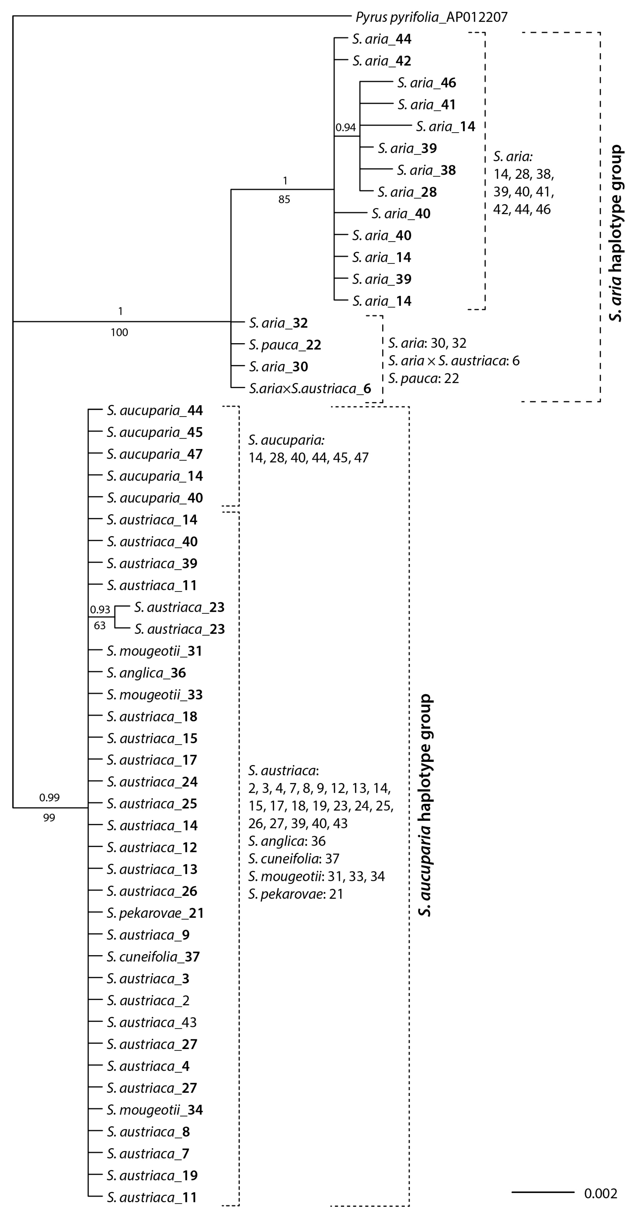 Biology 12 00380 g003