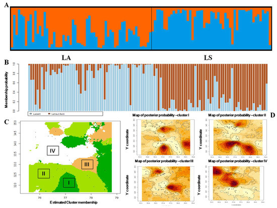 Siberian mouse cum 12  Lahaul&ndash;Zanskar&ndash;Sham Valley Corridor in Indian Trans Himalayan  Region Facilitates Dispersal and Gene Flow in Himalayan Ibex