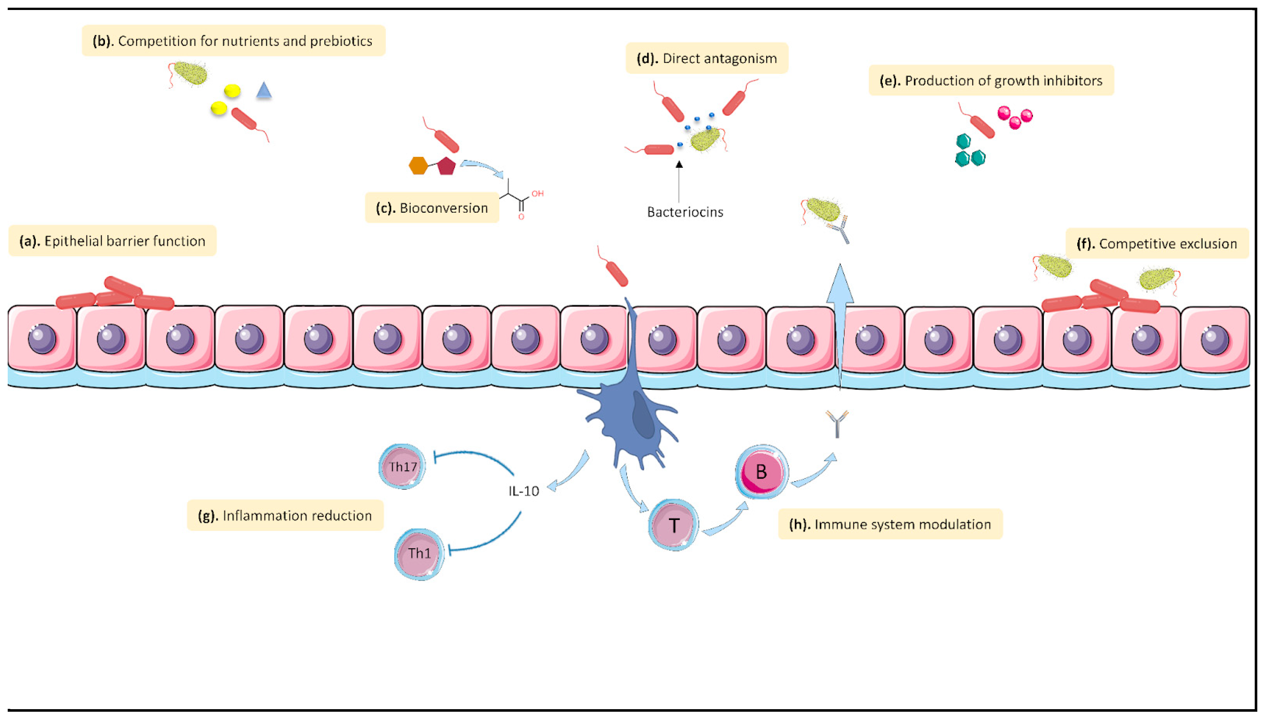 Biology 12 00384 g002