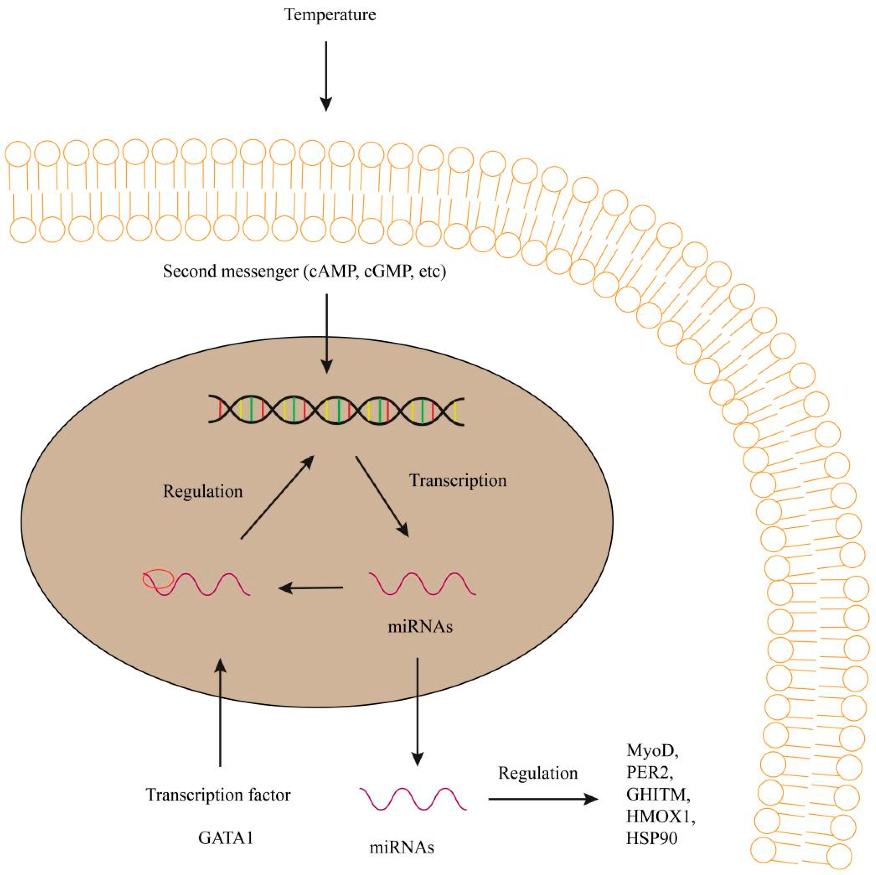 Biology 12 00388 g002