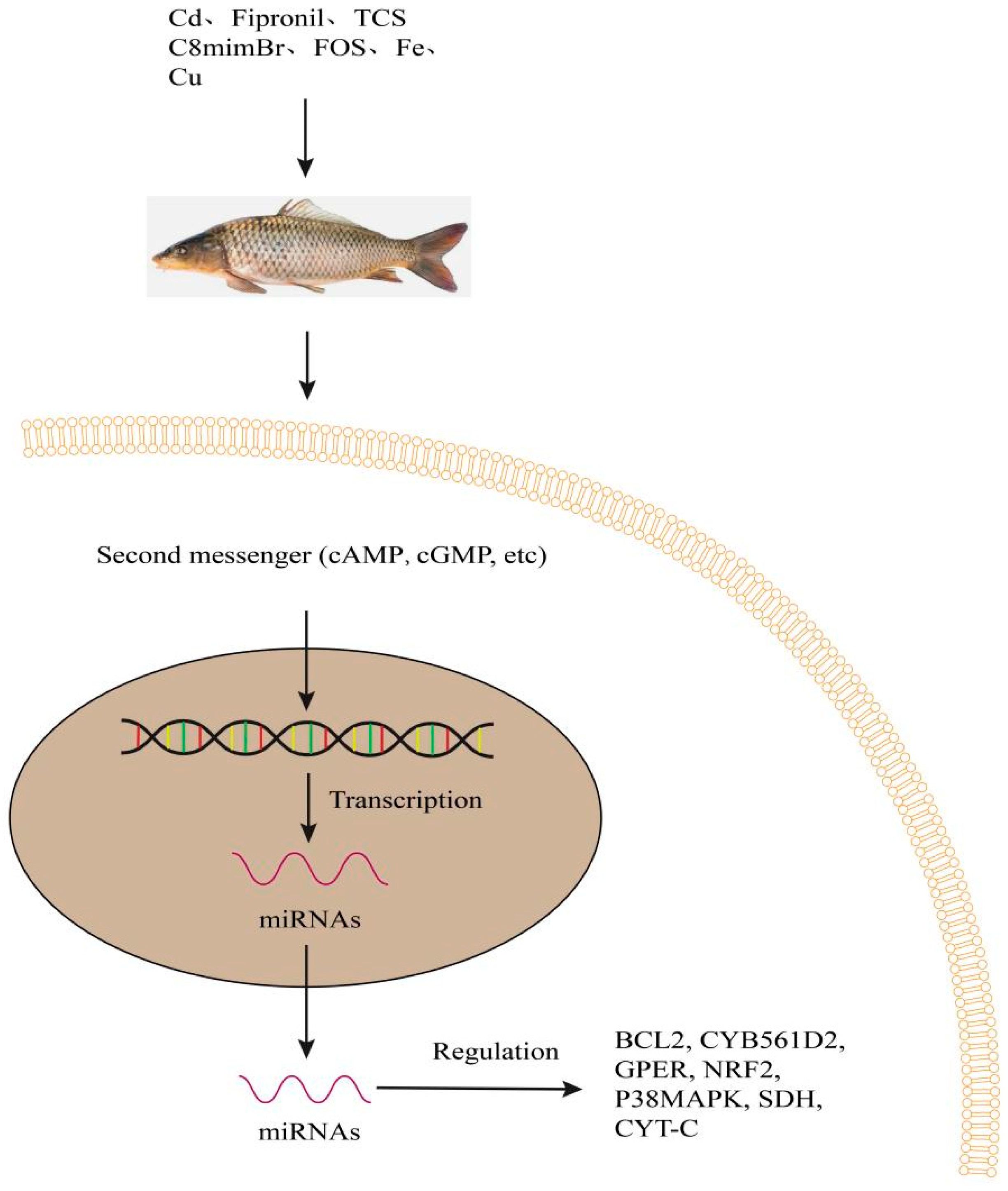 Biology 12 00388 g005