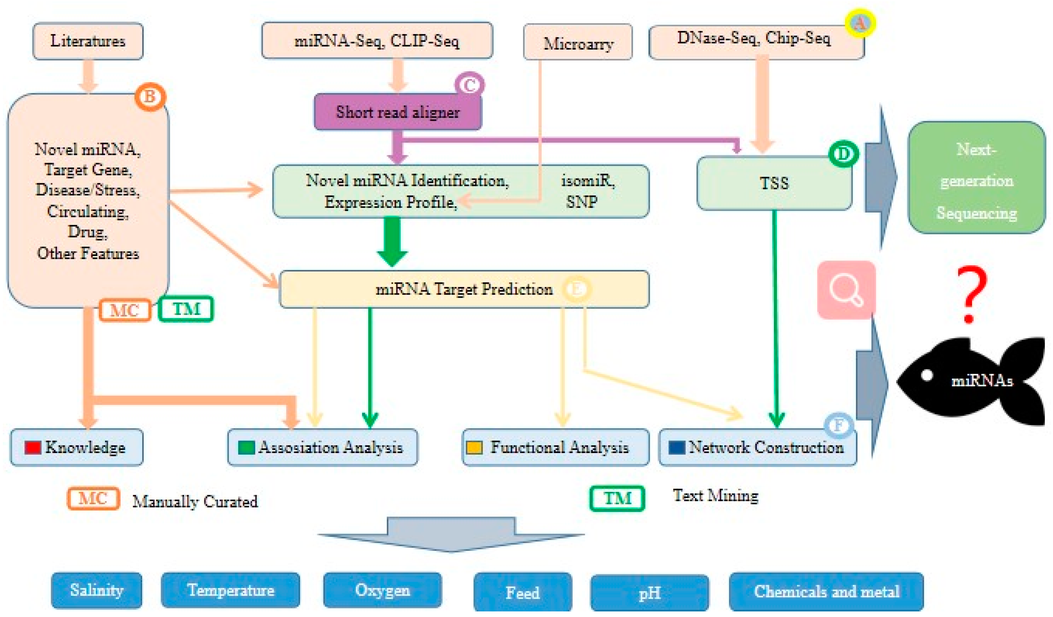 Biology 12 00388 g006