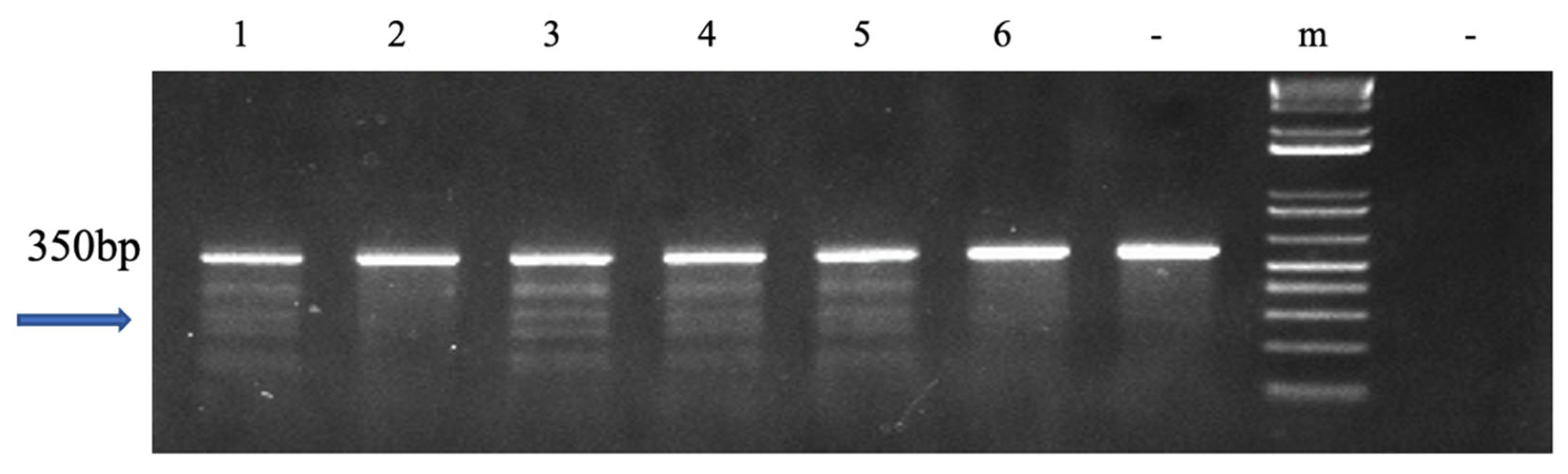 Biology 12 00392 g001